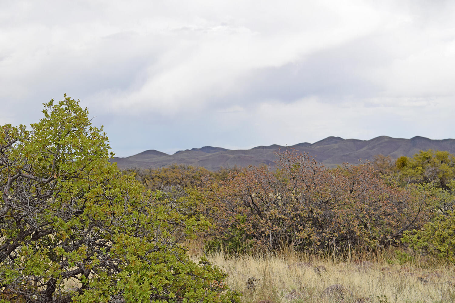 Lot 40 Sunset Vista Road