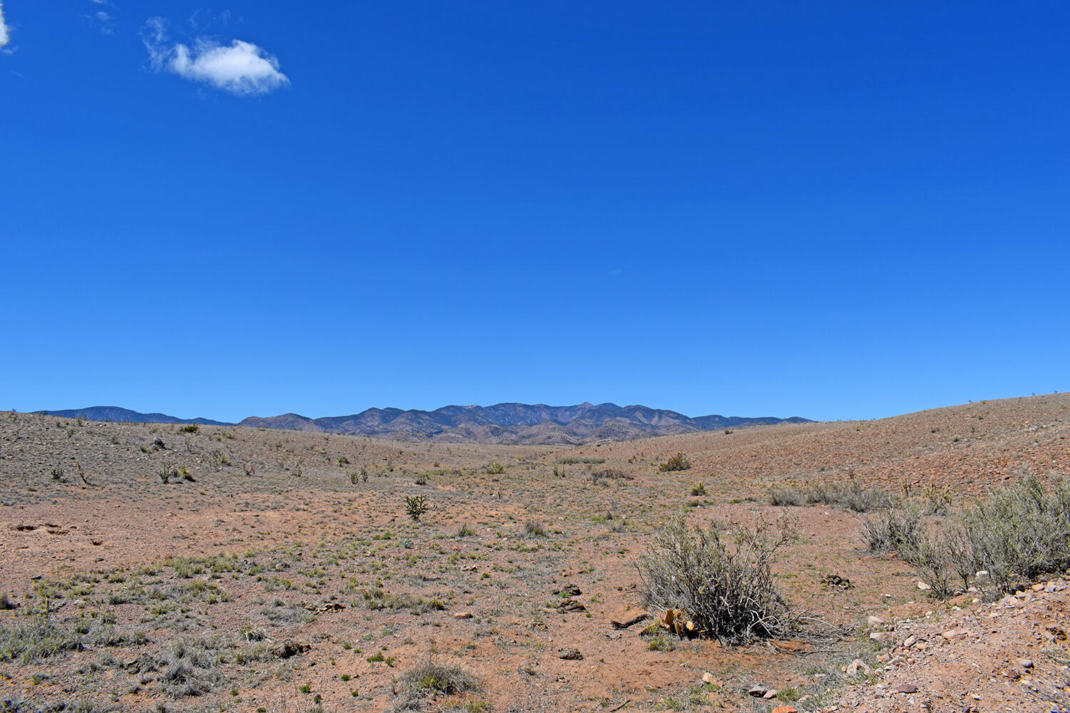 Lot 11 Prong Horn Road