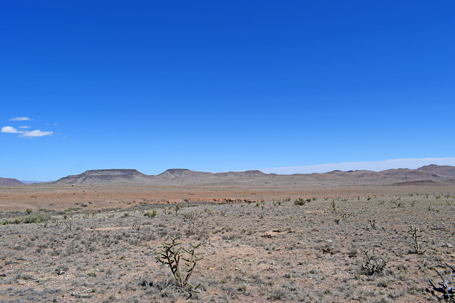 Lot 11 Prong Horn Road