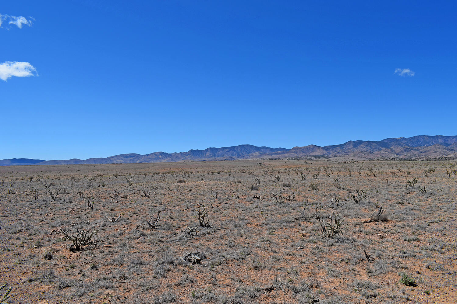 Lot 11 Prong Horn Road