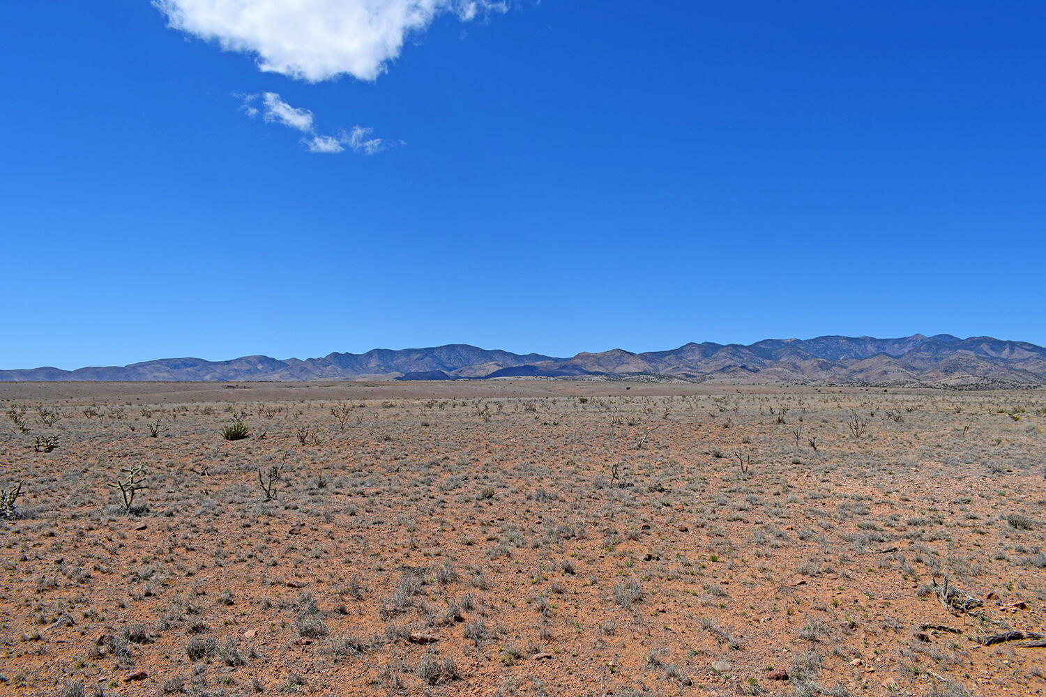 Lot 11 Prong Horn Road