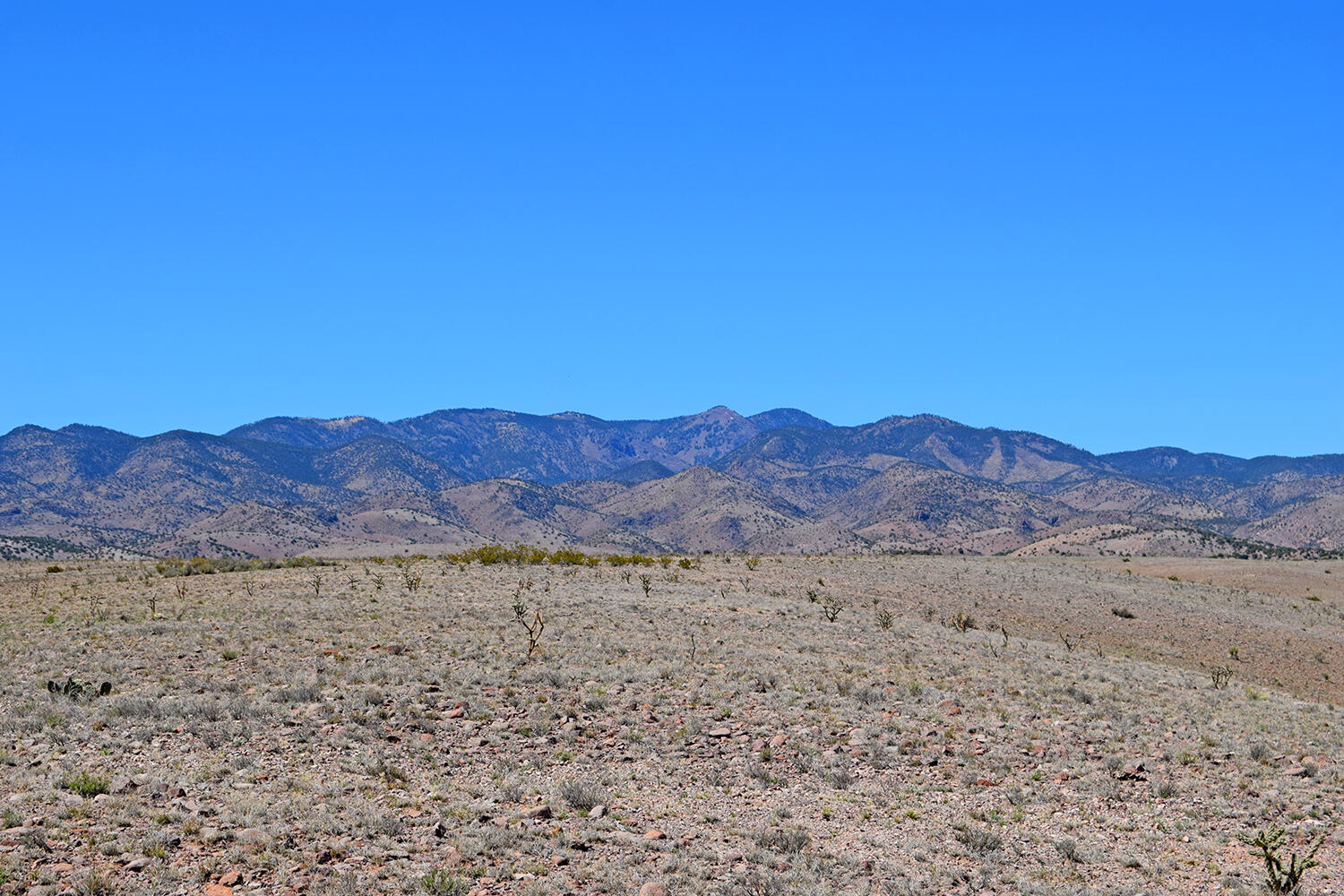 Lot 11 Prong Horn Road