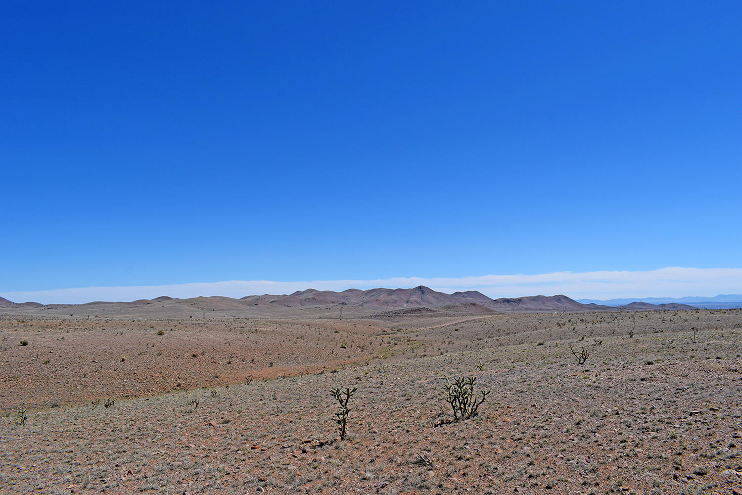 Lot 11 Prong Horn Road