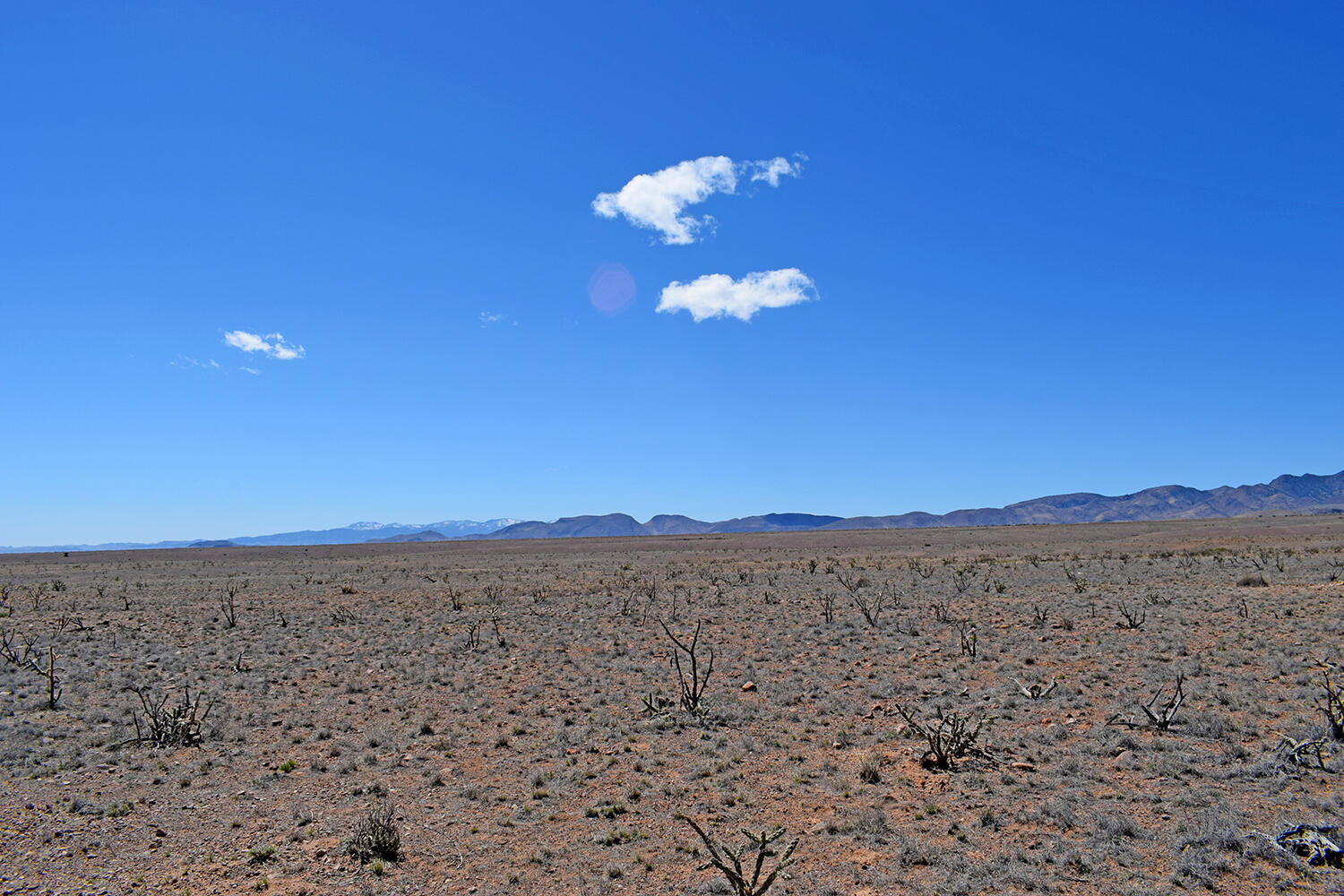 Lot 11 Prong Horn Road