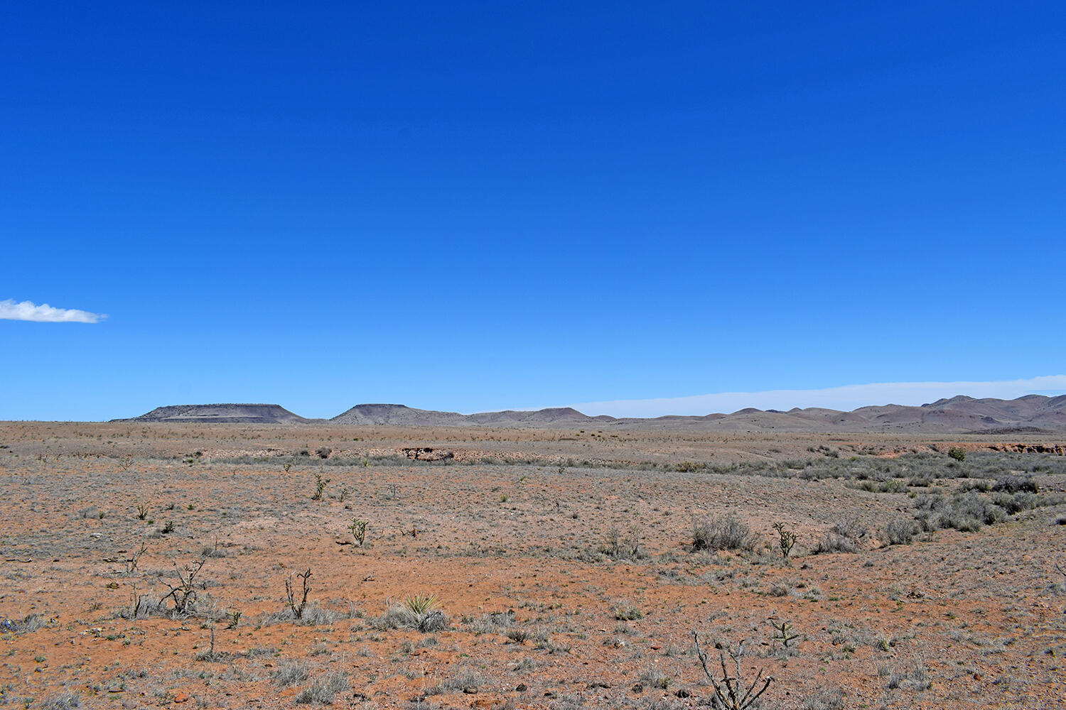 Lot 11 Prong Horn Road