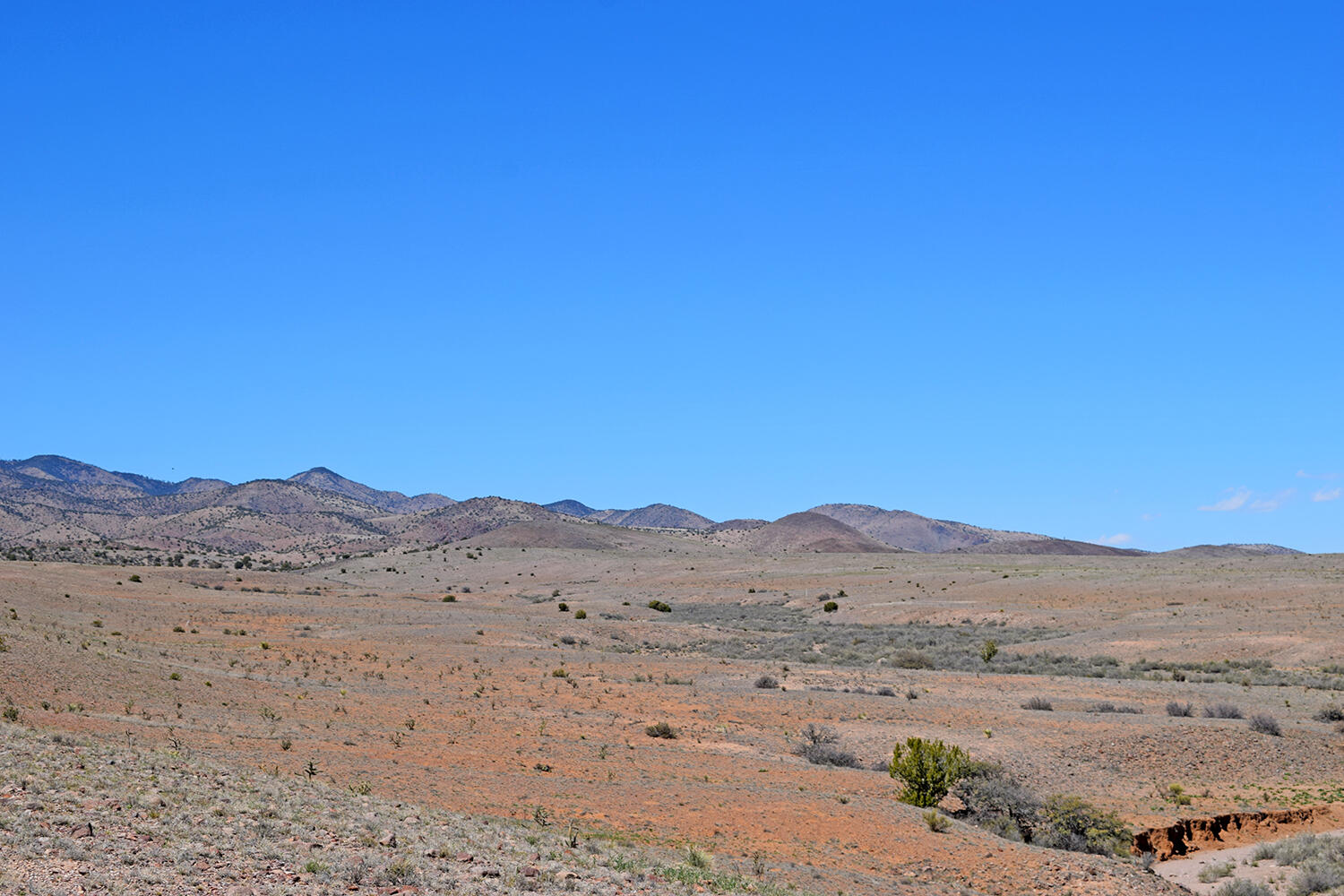 Lot 11 Prong Horn Road