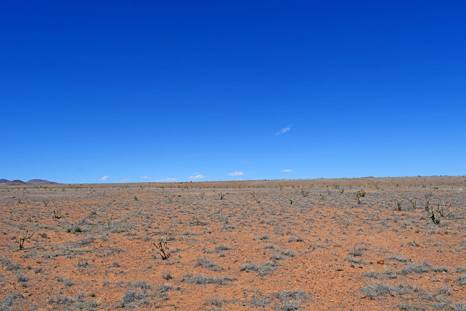 Lot 11 Prong Horn Road