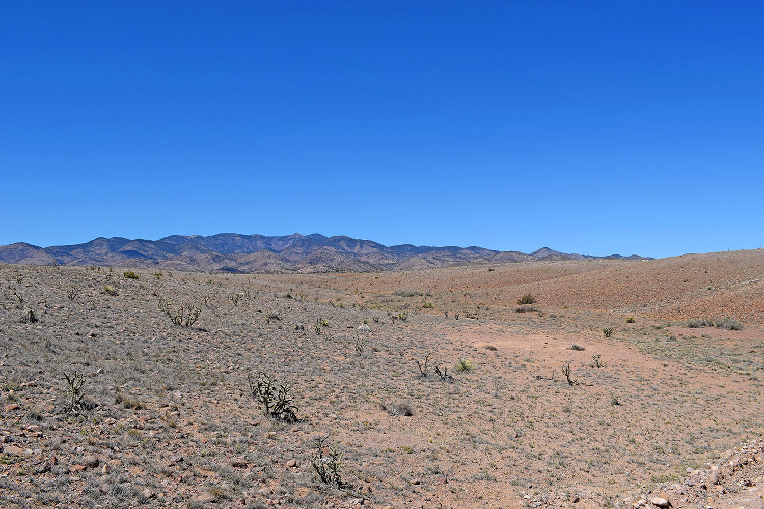 Lot 11 Prong Horn Road