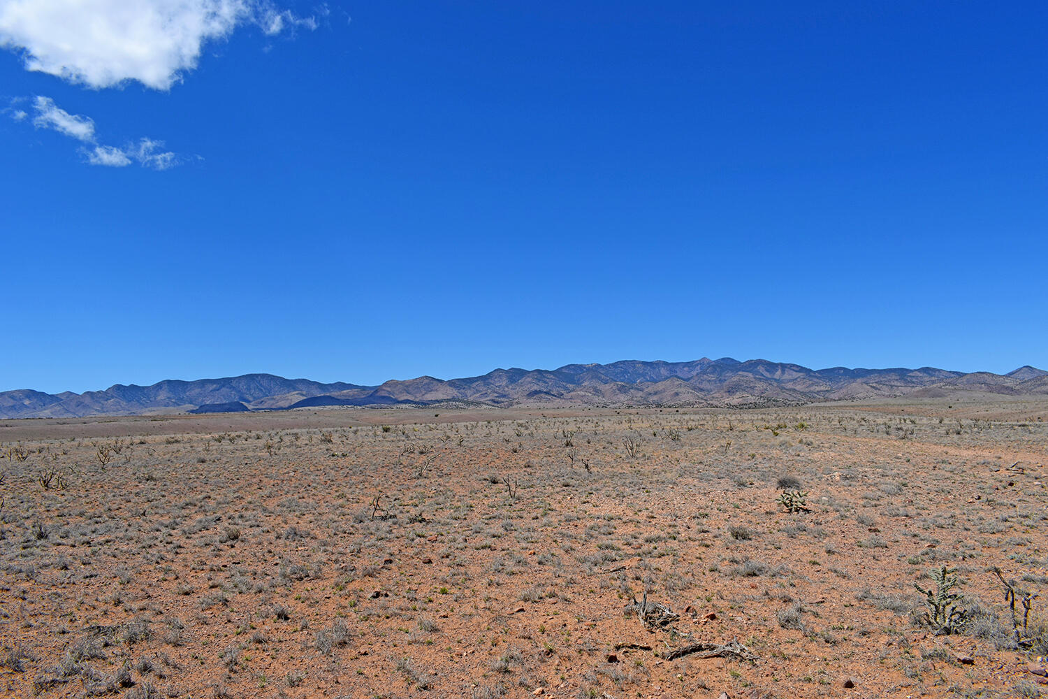 Lot 11 Prong Horn Road