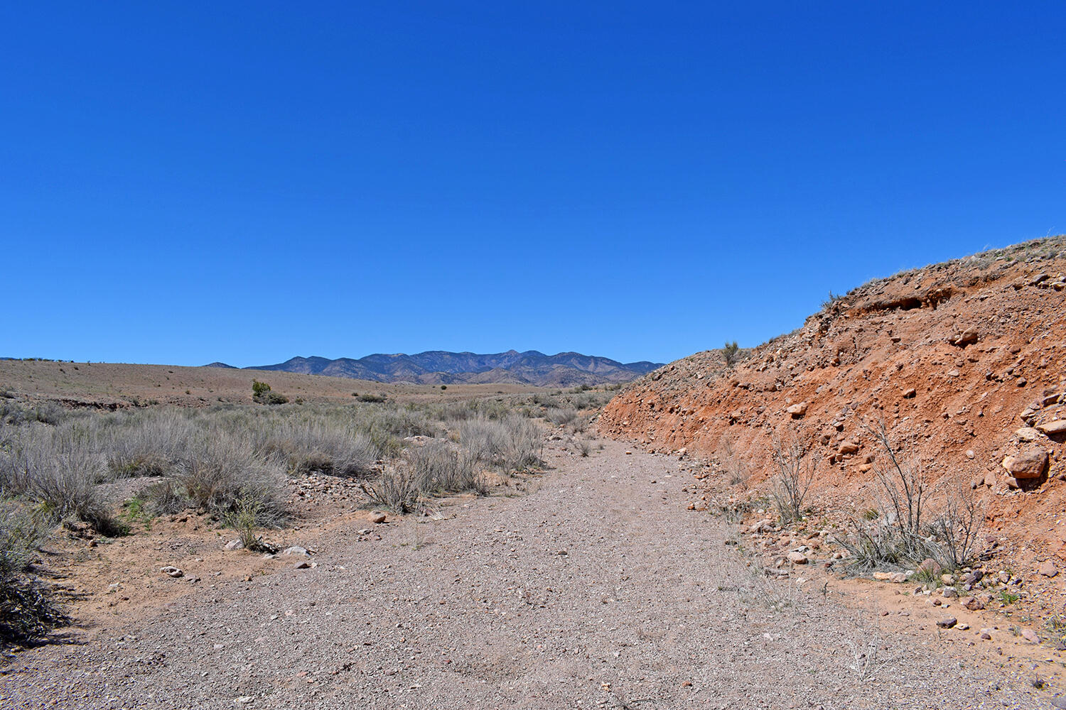 Lot 11 Prong Horn Road
