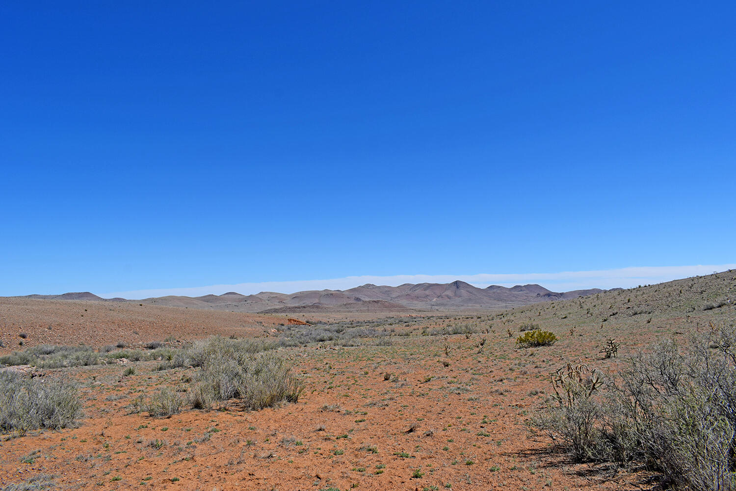 Lot 11 Prong Horn Road