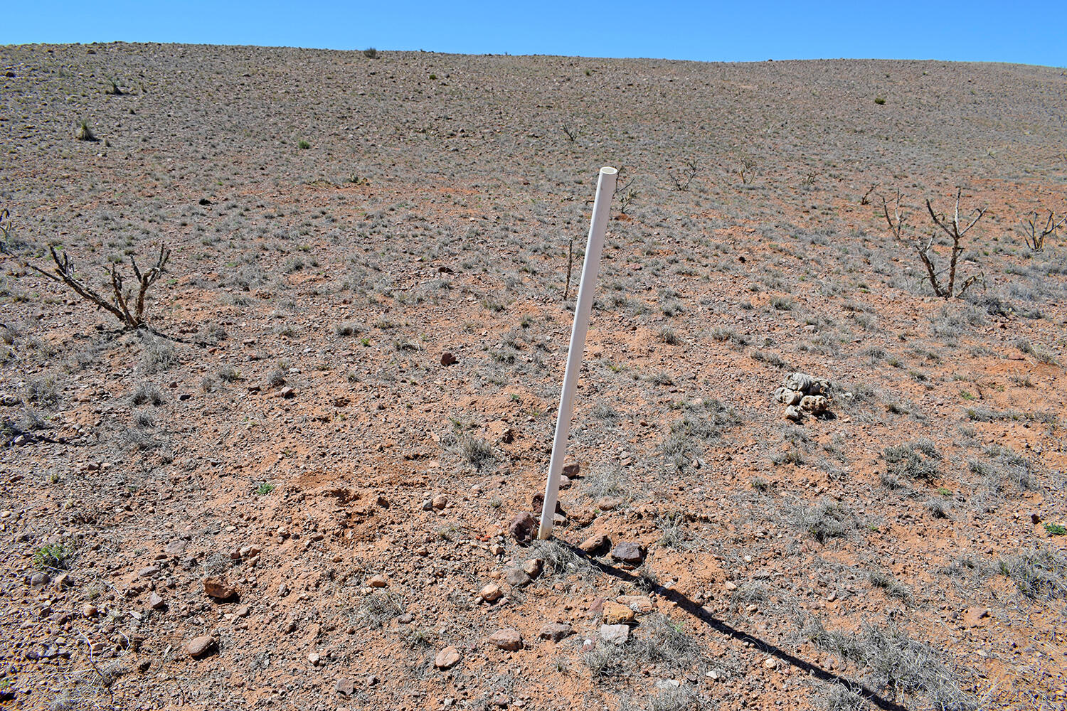 Lot 11 Prong Horn Road