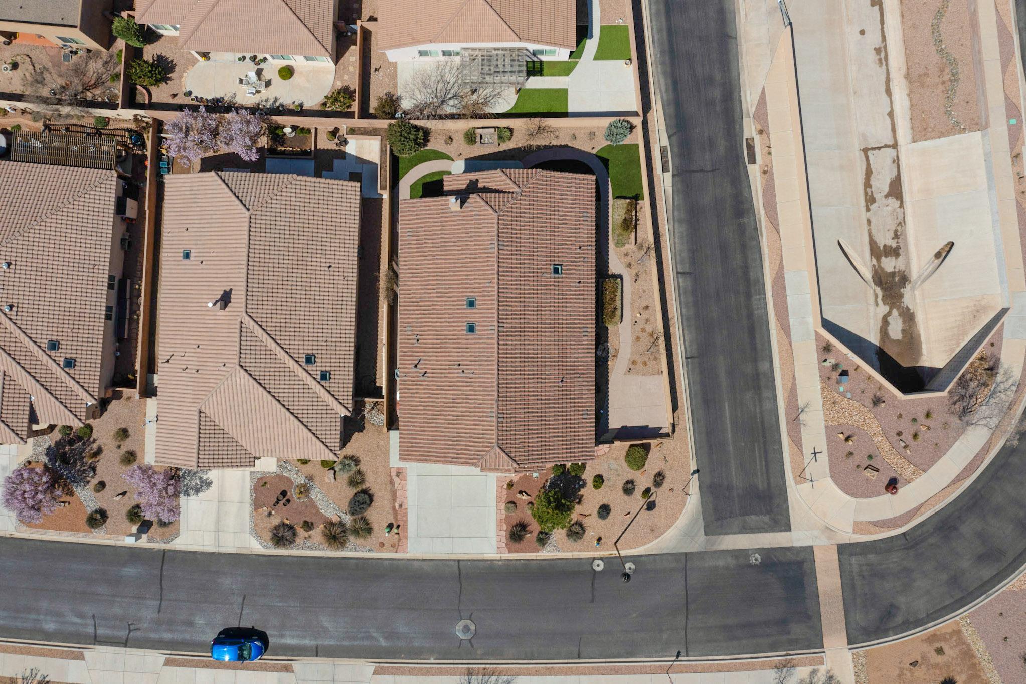 901 Prairie Zinnia Drive