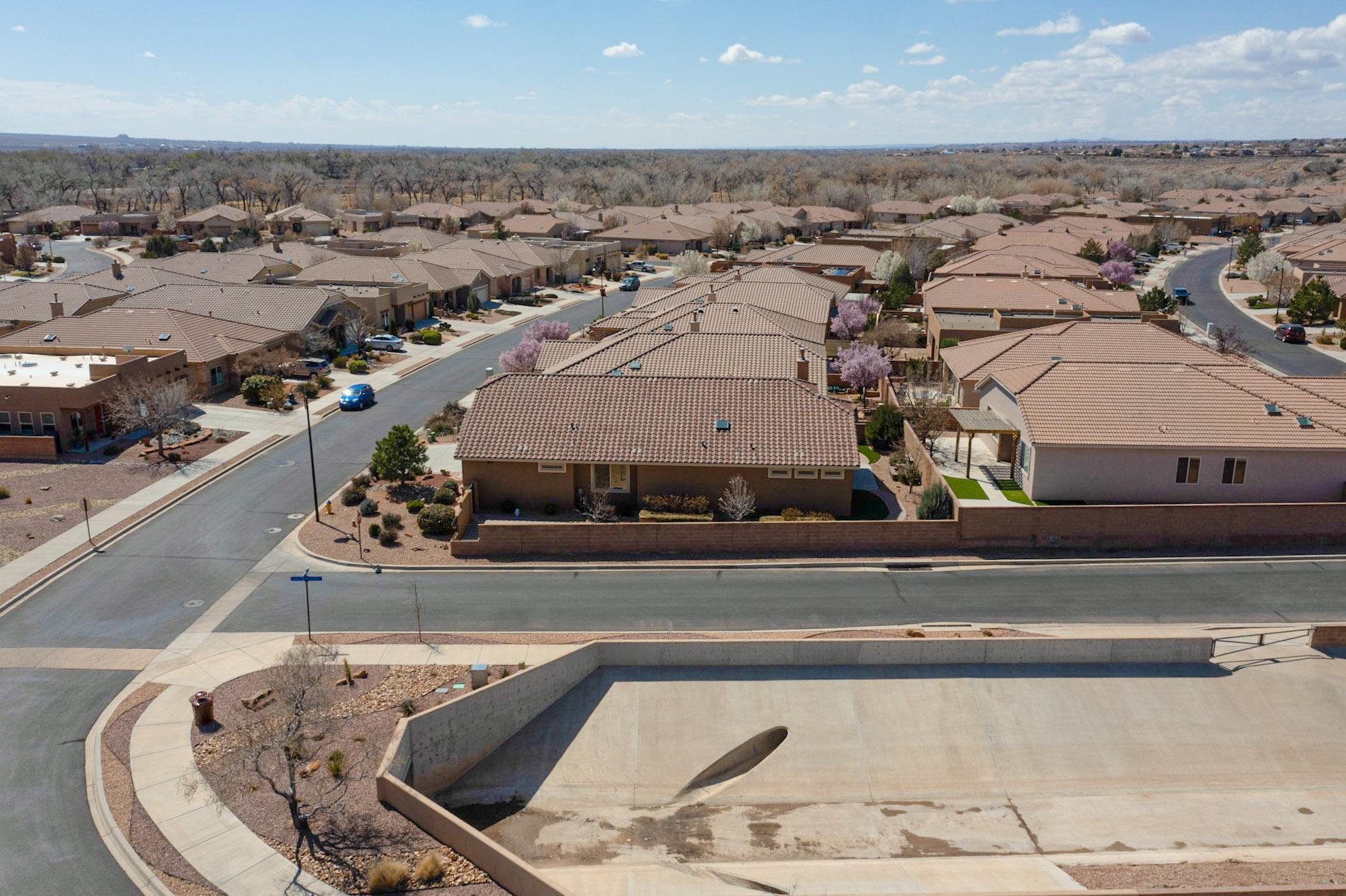 901 Prairie Zinnia Drive