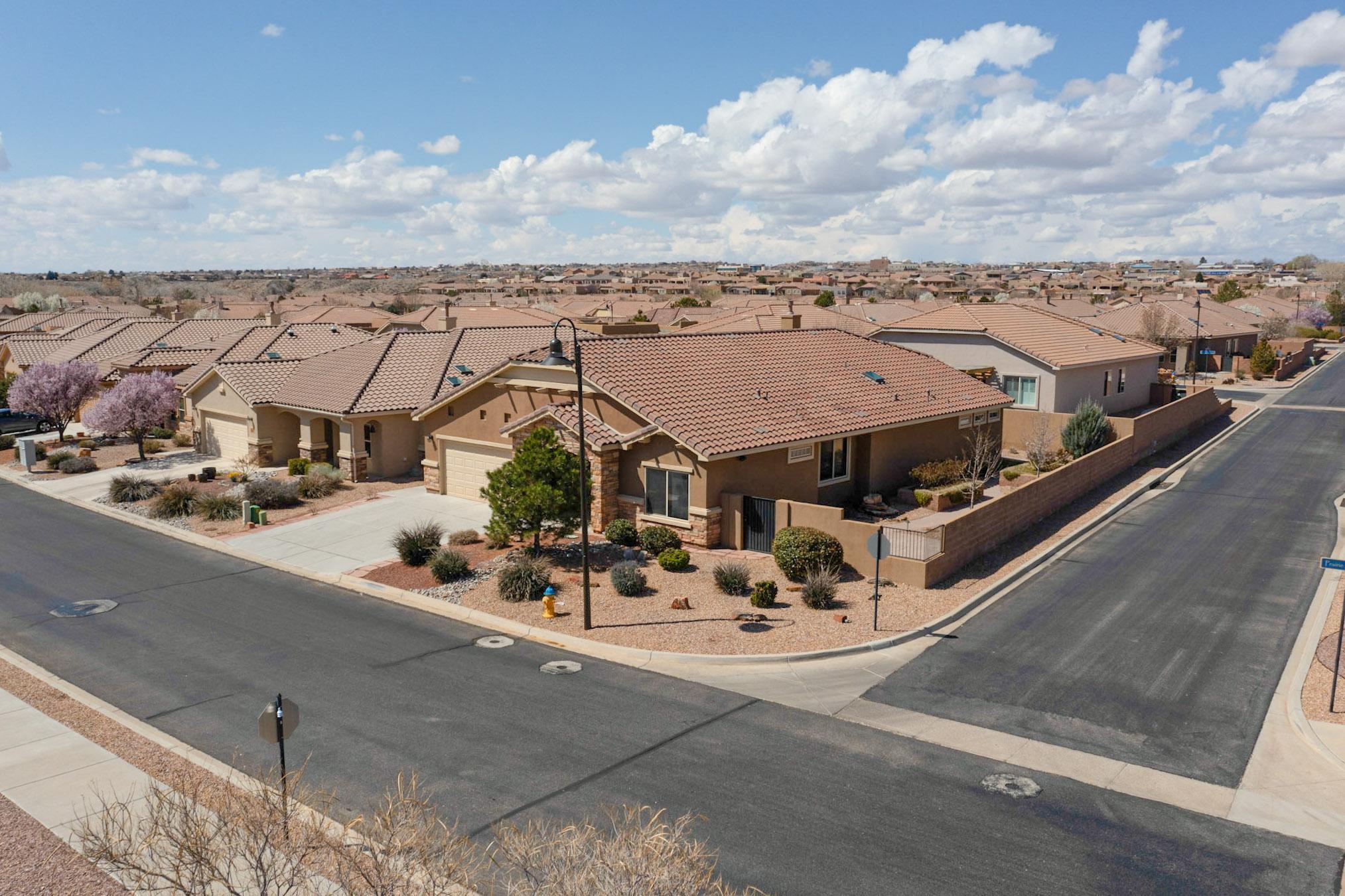 901 Prairie Zinnia Drive