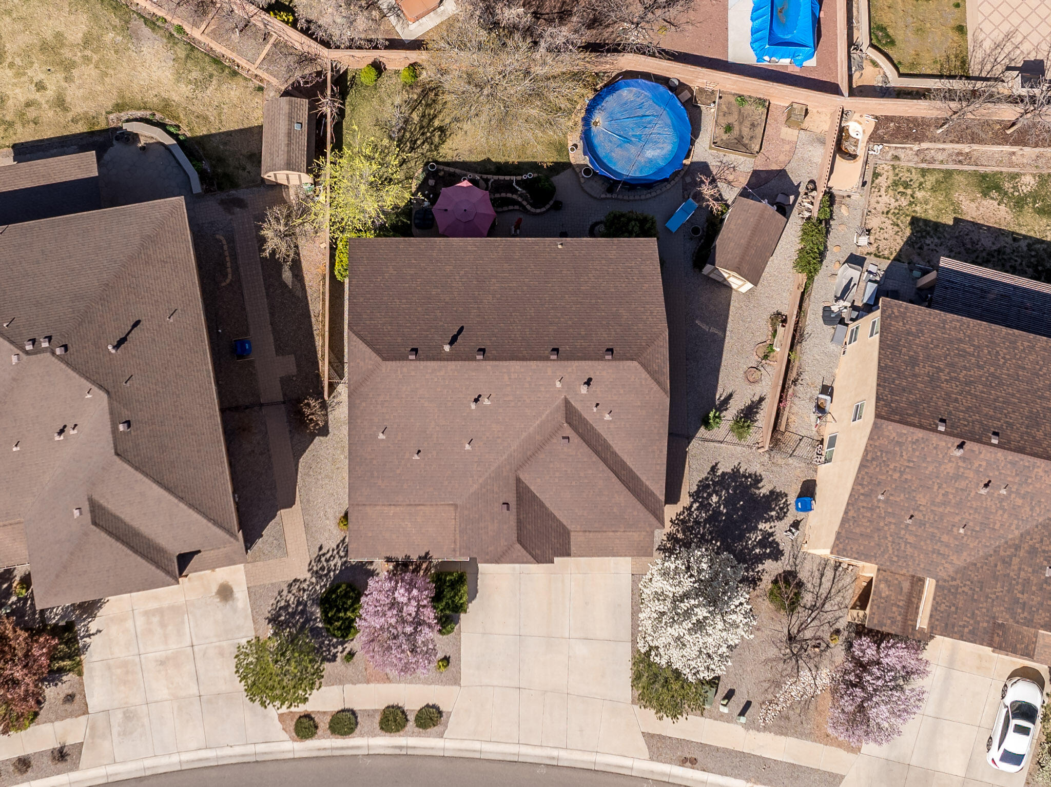 1221 Festival Road NW