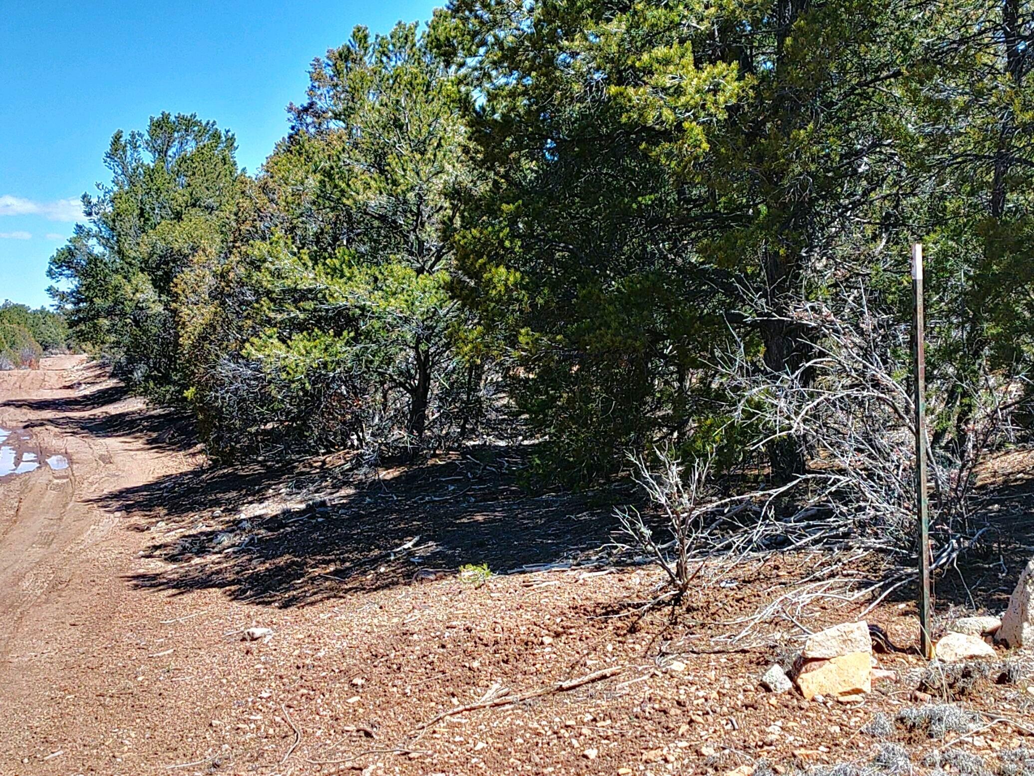Upper Pinabete
