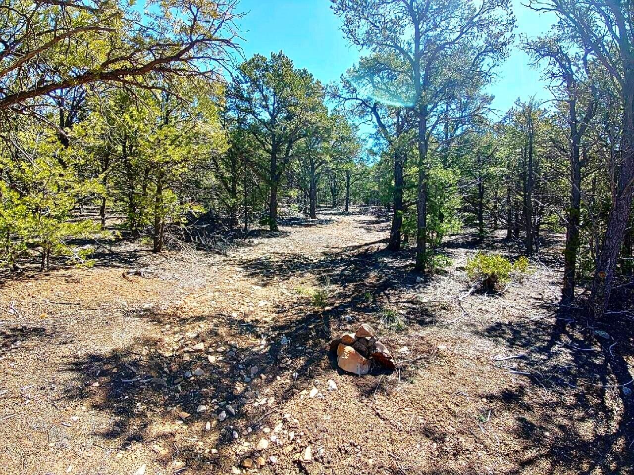 Upper Pinabete
