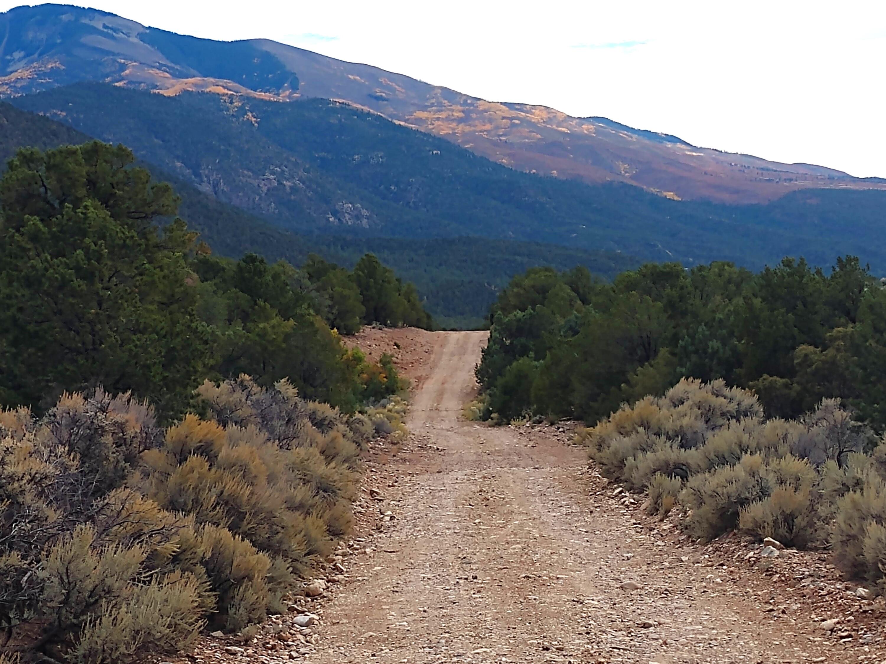 Upper Pinabete