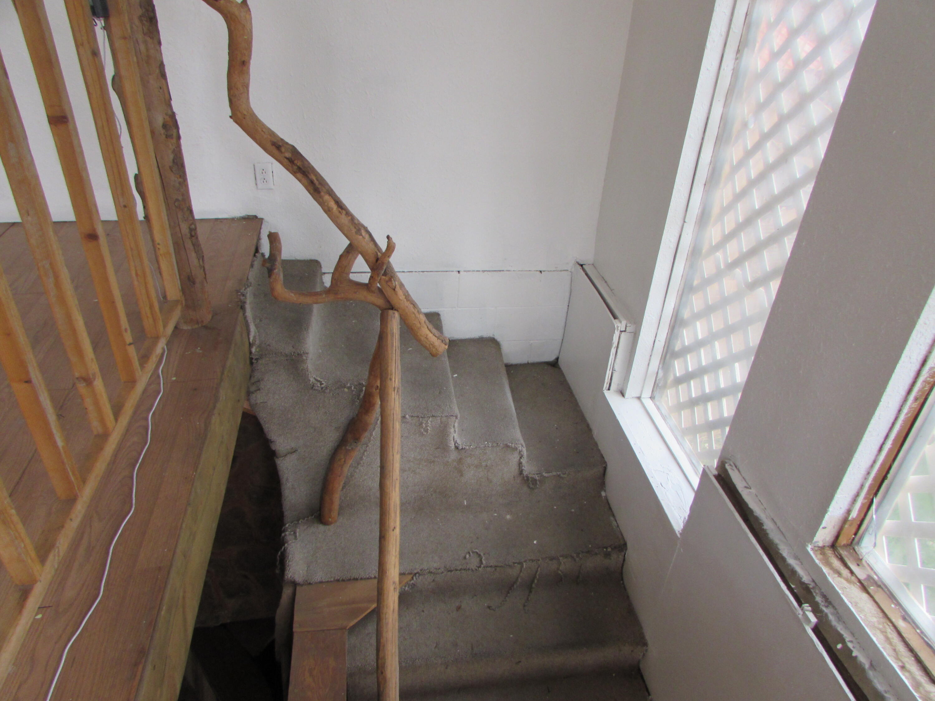 6 Sunnydale Road