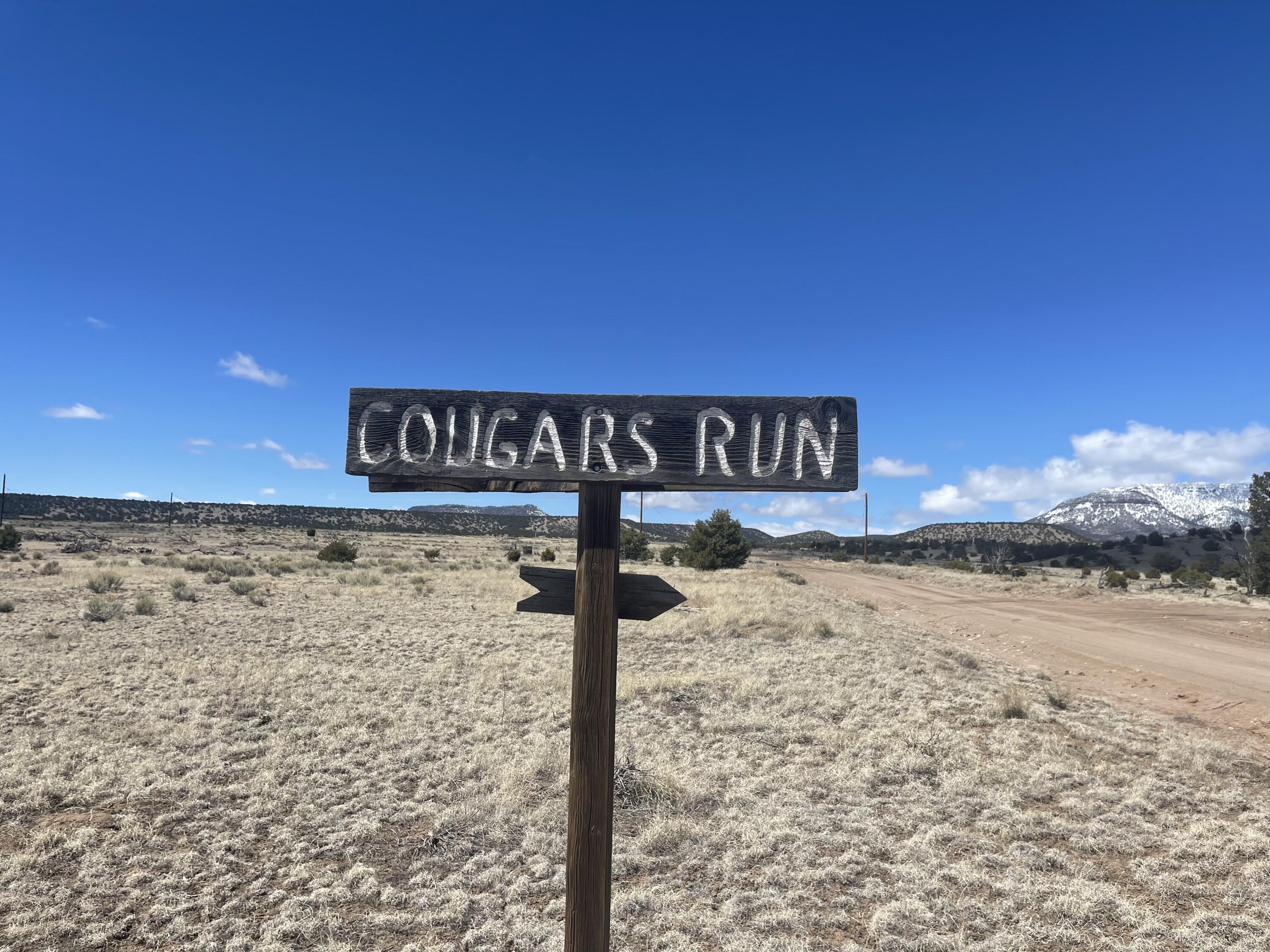 38 Cougar Run