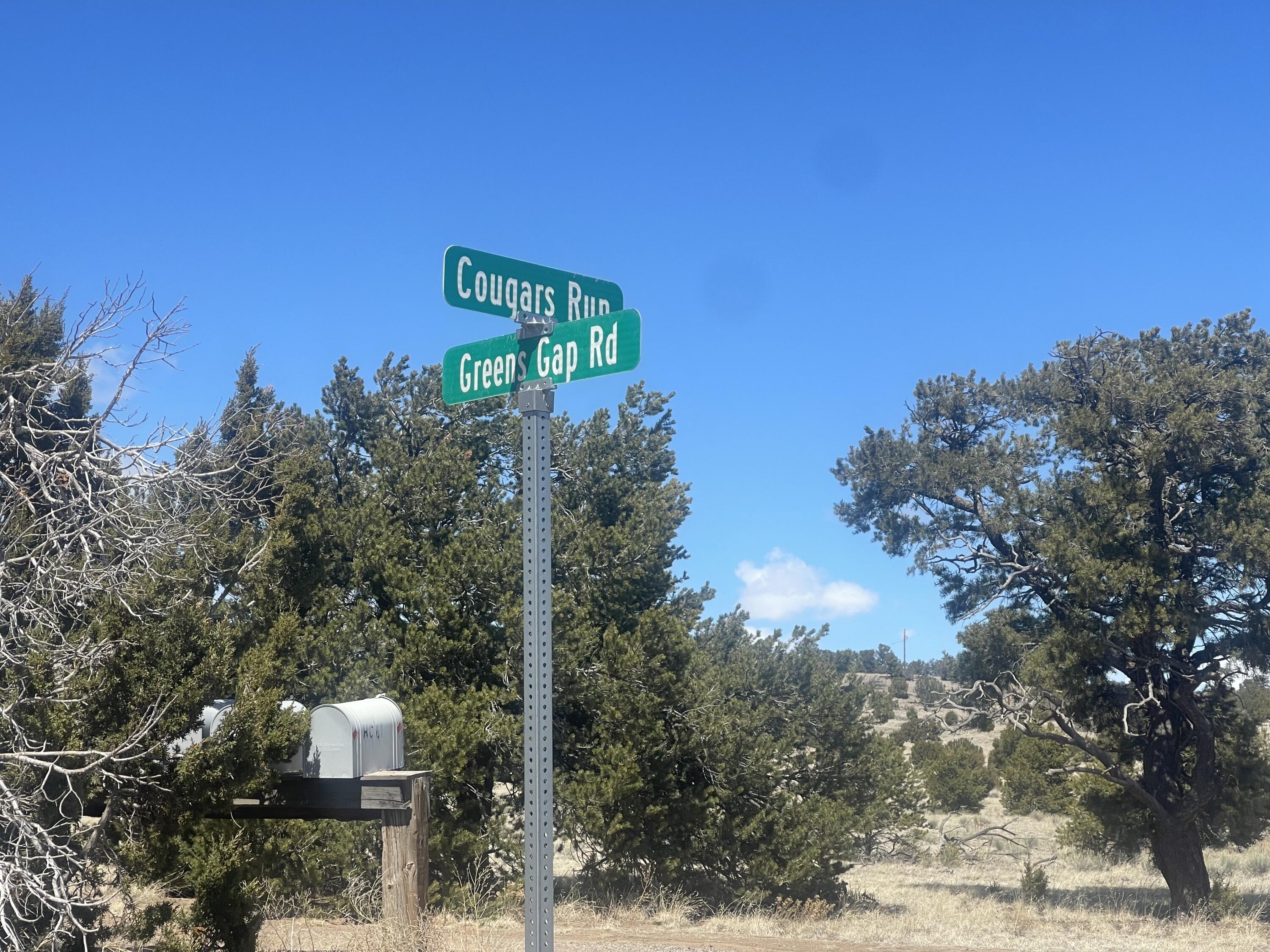 38 Cougar Run
