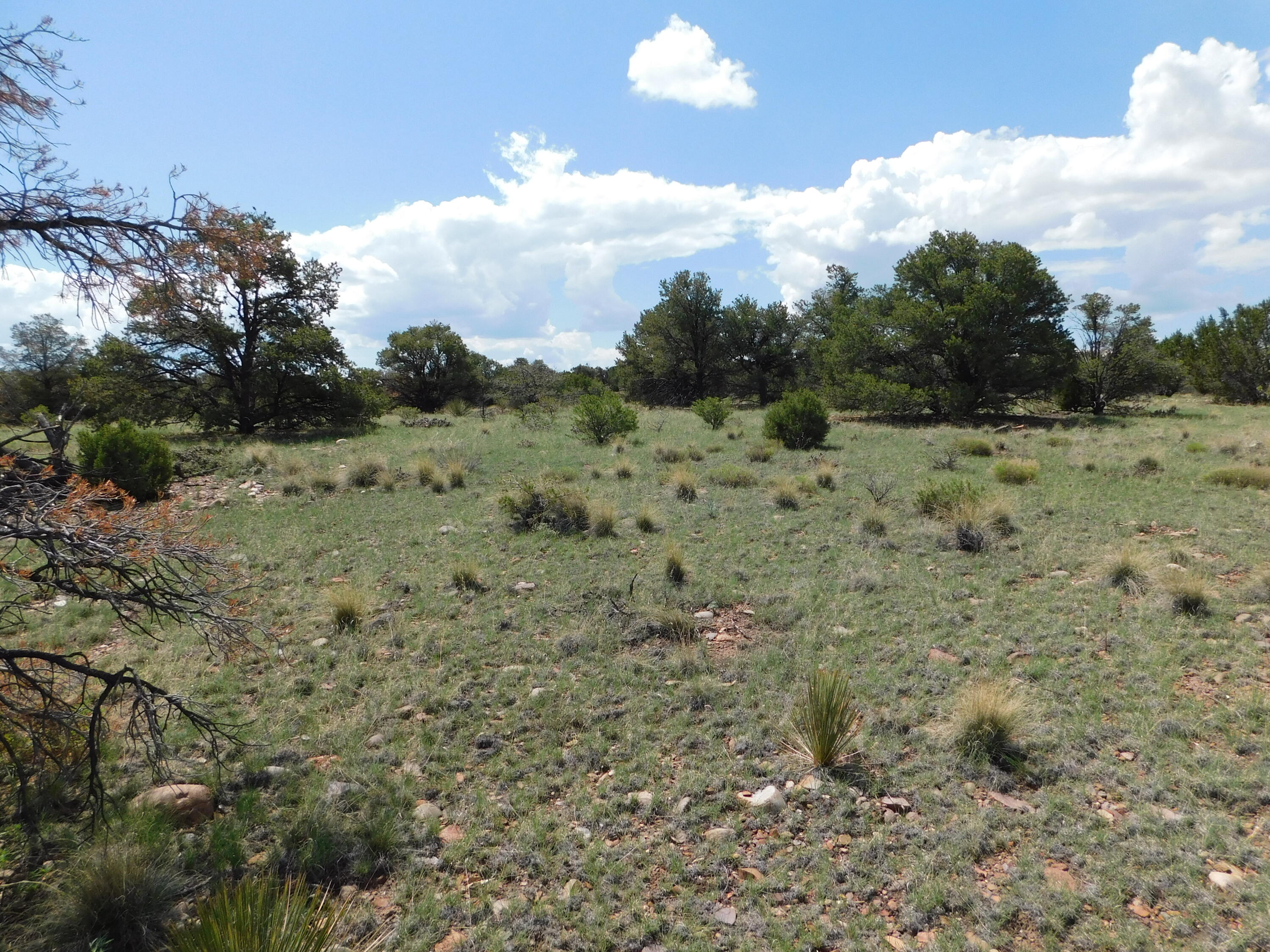 Lot 87 Dove Valley Road