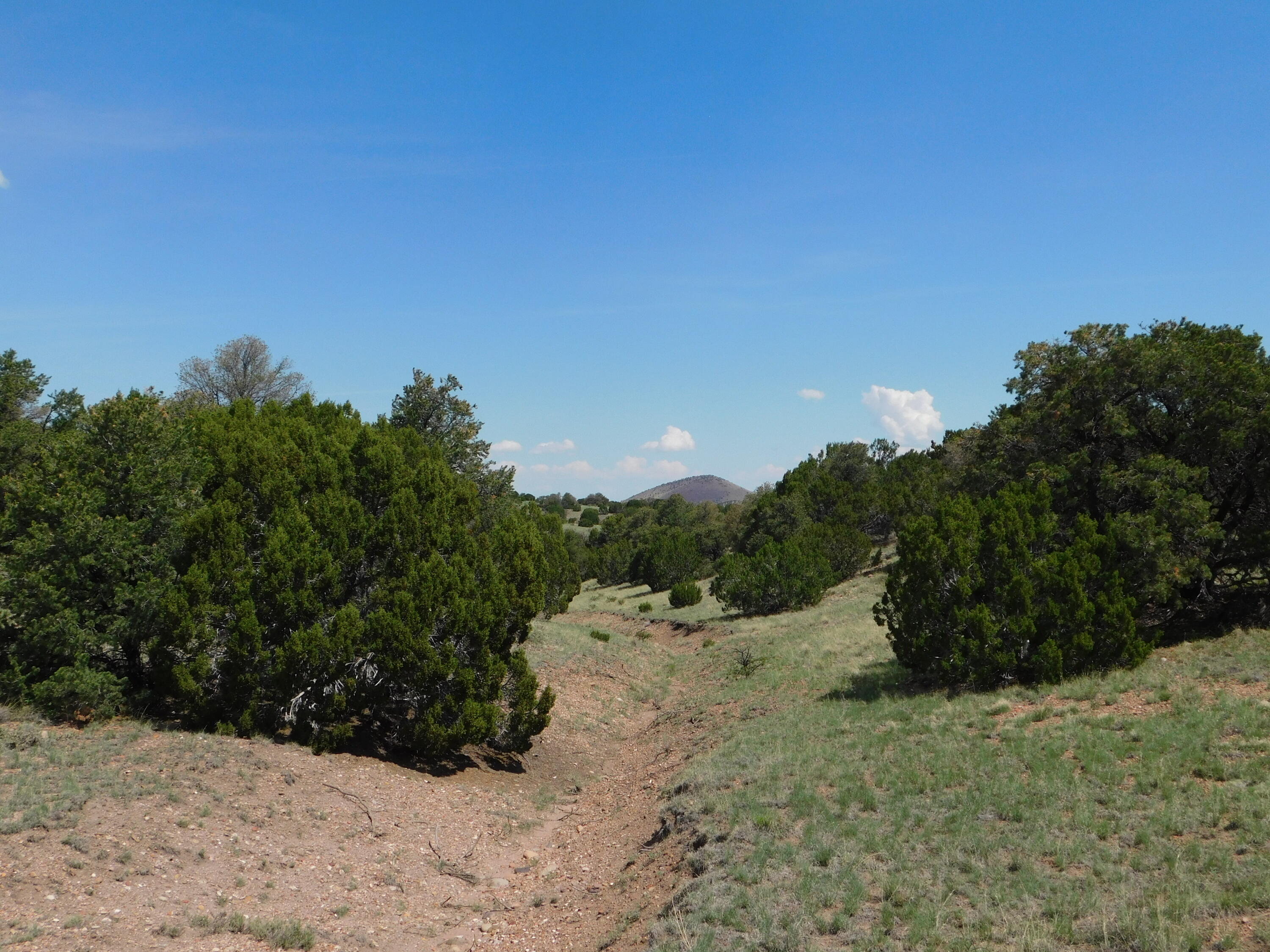 Lot 87 Dove Valley Road
