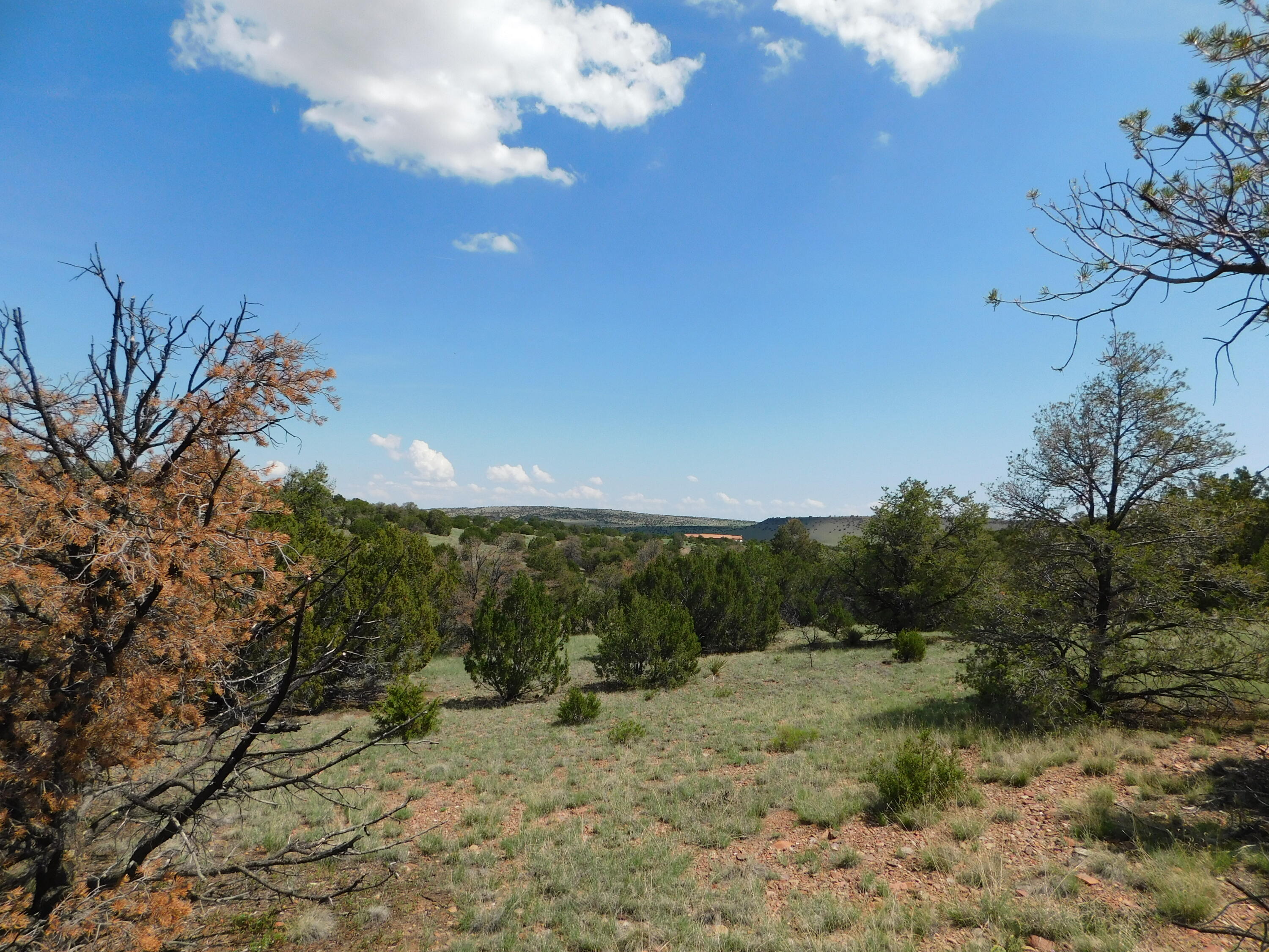 Lot 87 Dove Valley Road