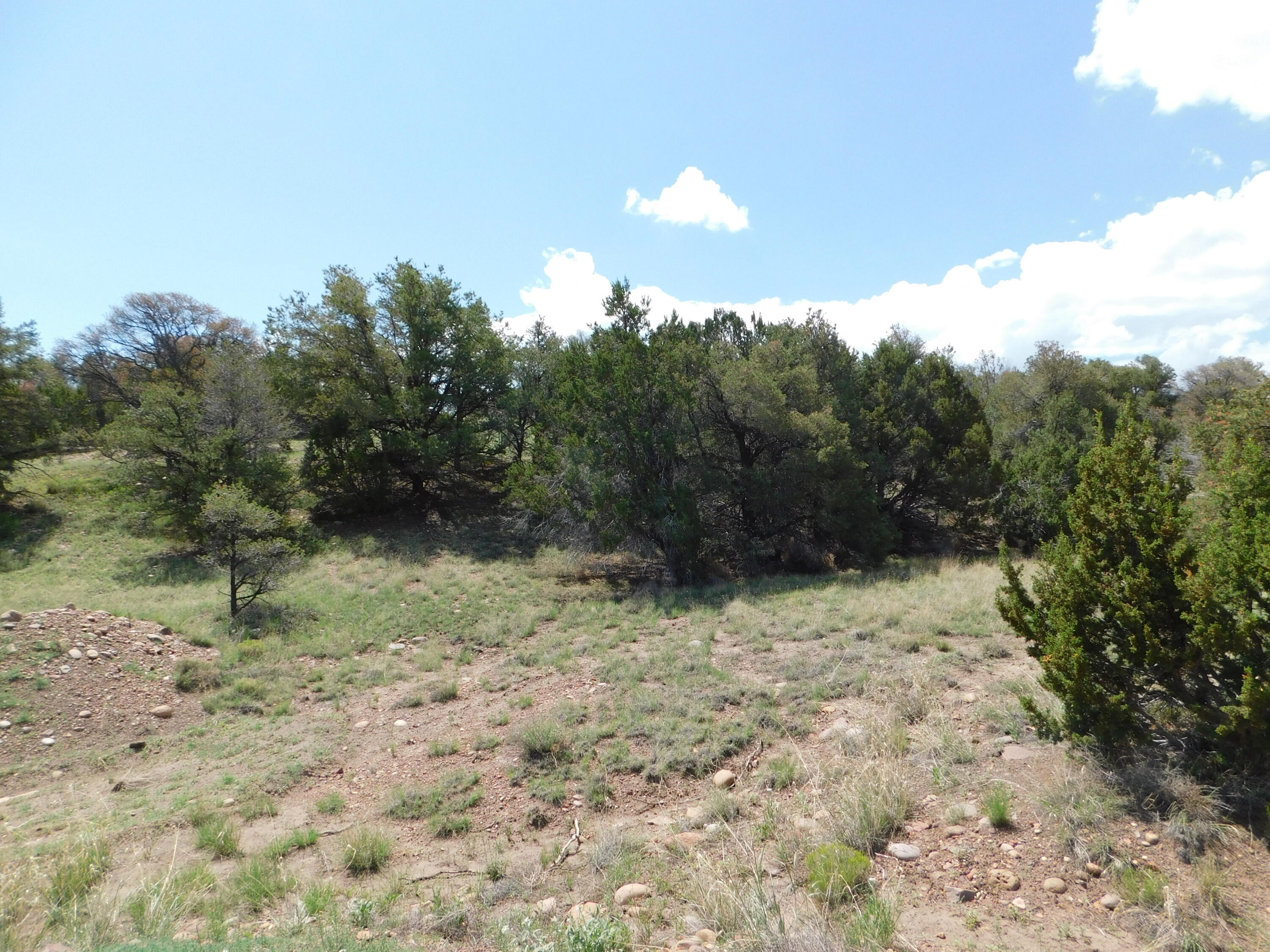 Lot 87 Dove Valley Road