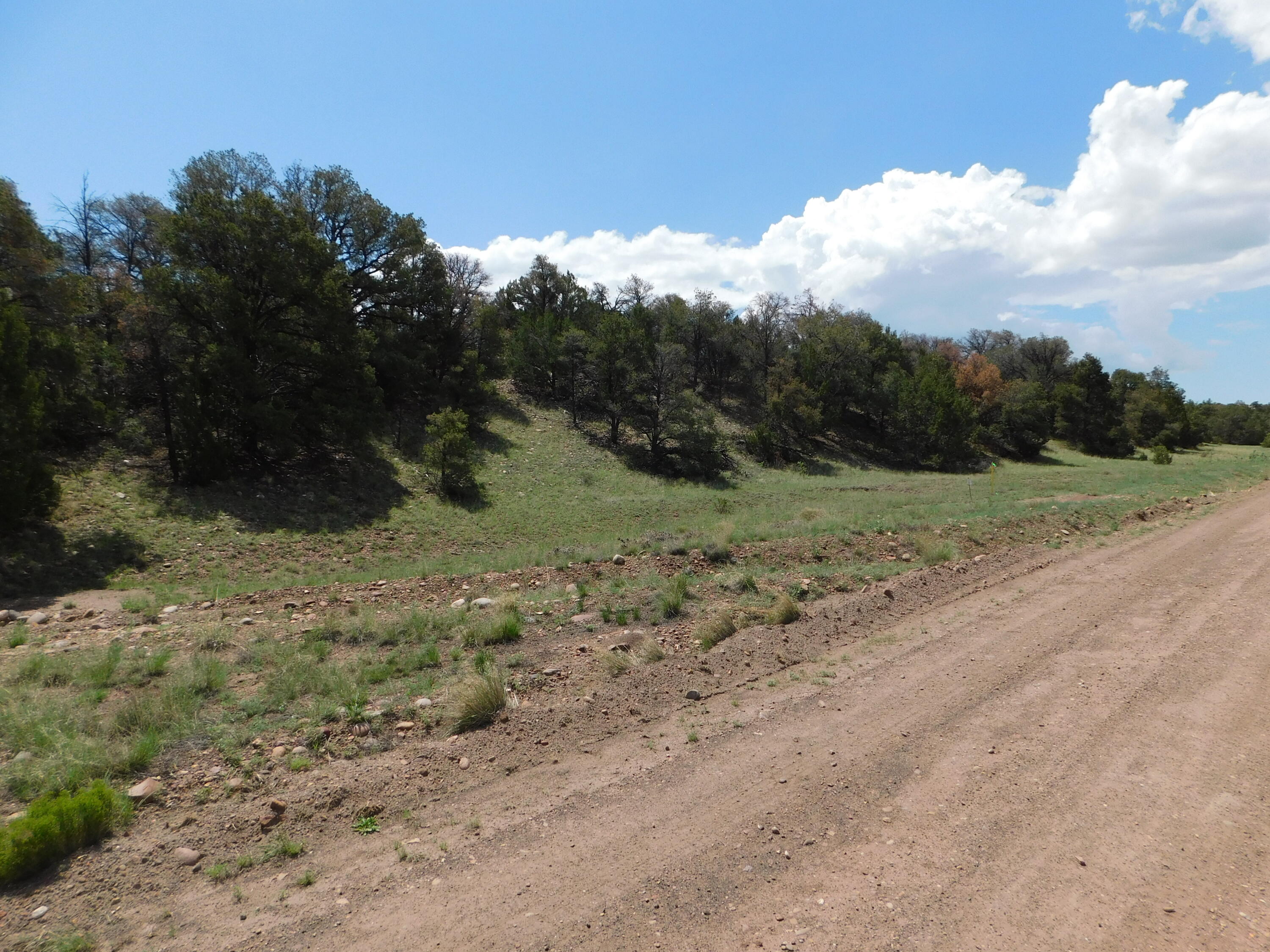 Lot 87 Dove Valley Road