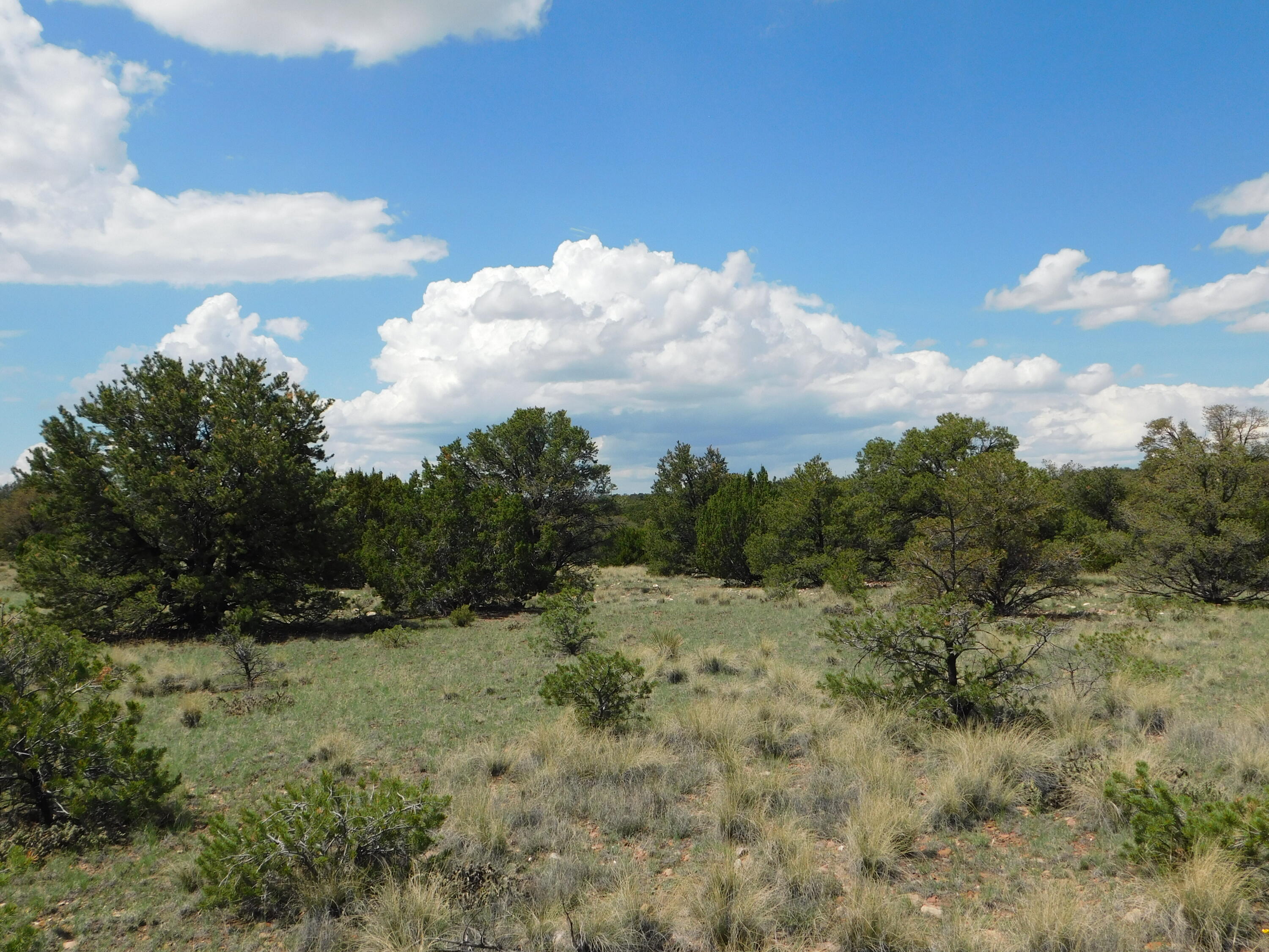 Lot 87 Dove Valley Road
