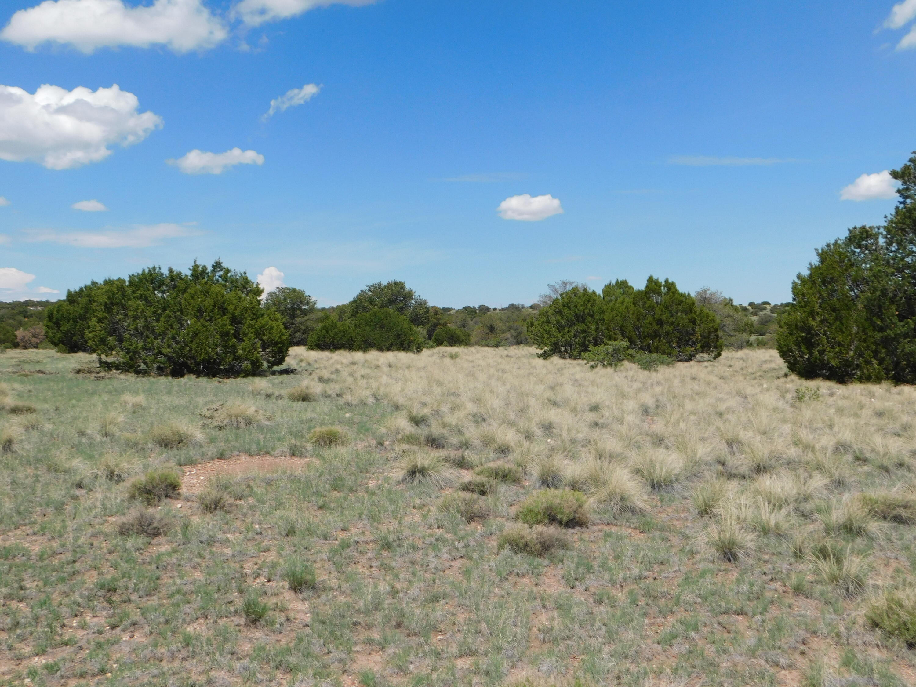 Lot 87 Dove Valley Road