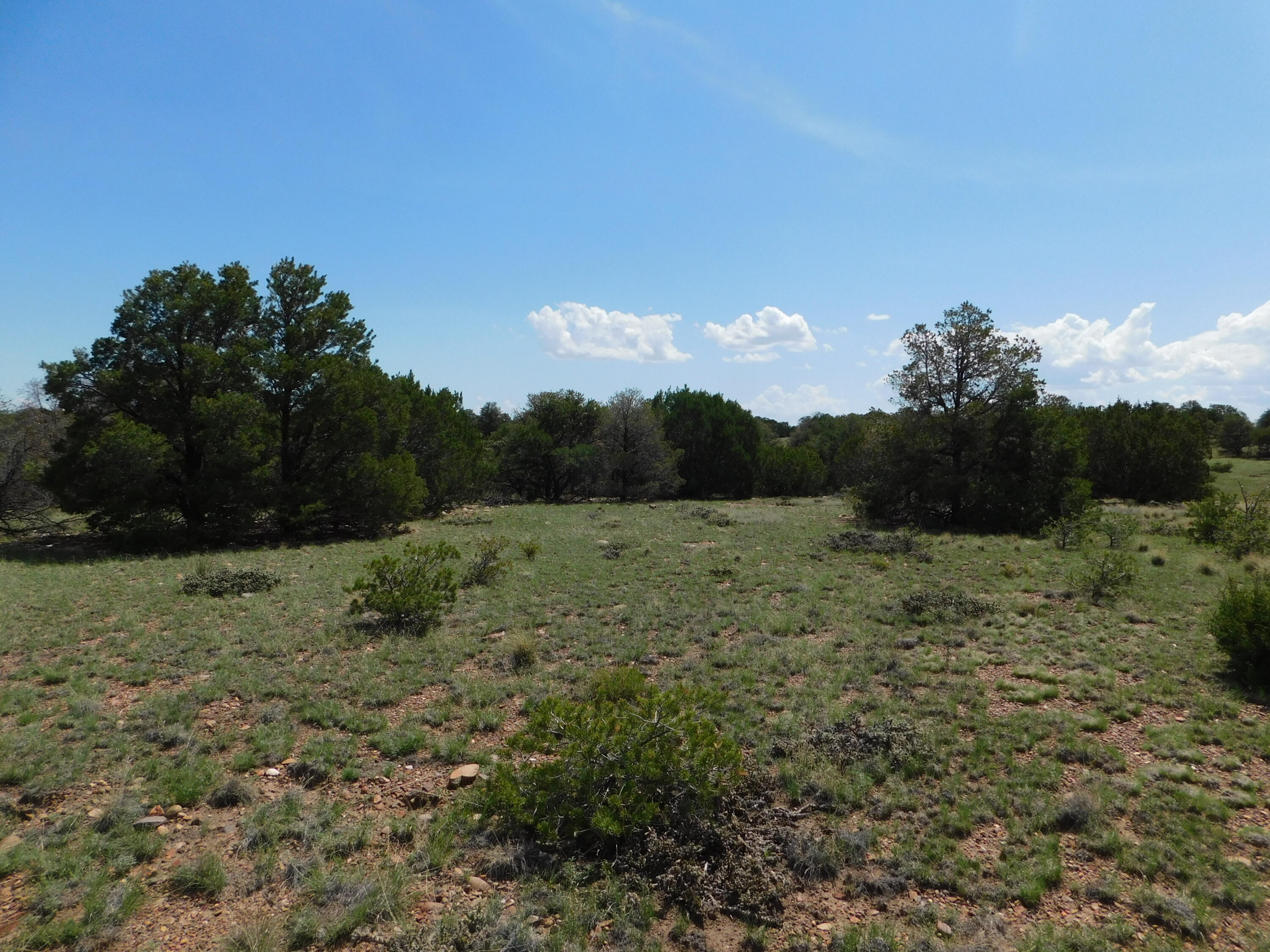 Lot 87 Dove Valley Road