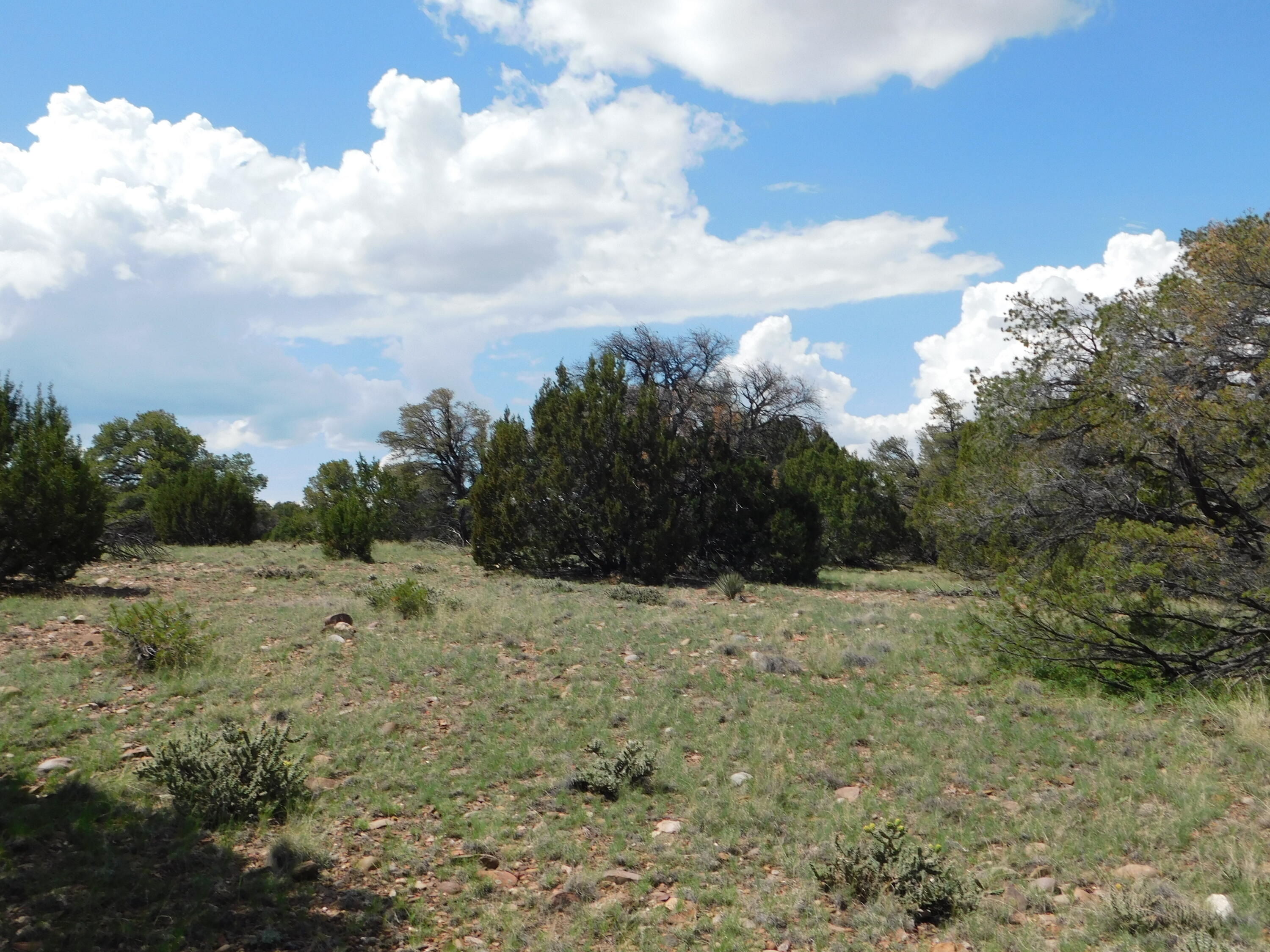 Lot 87 Dove Valley Road