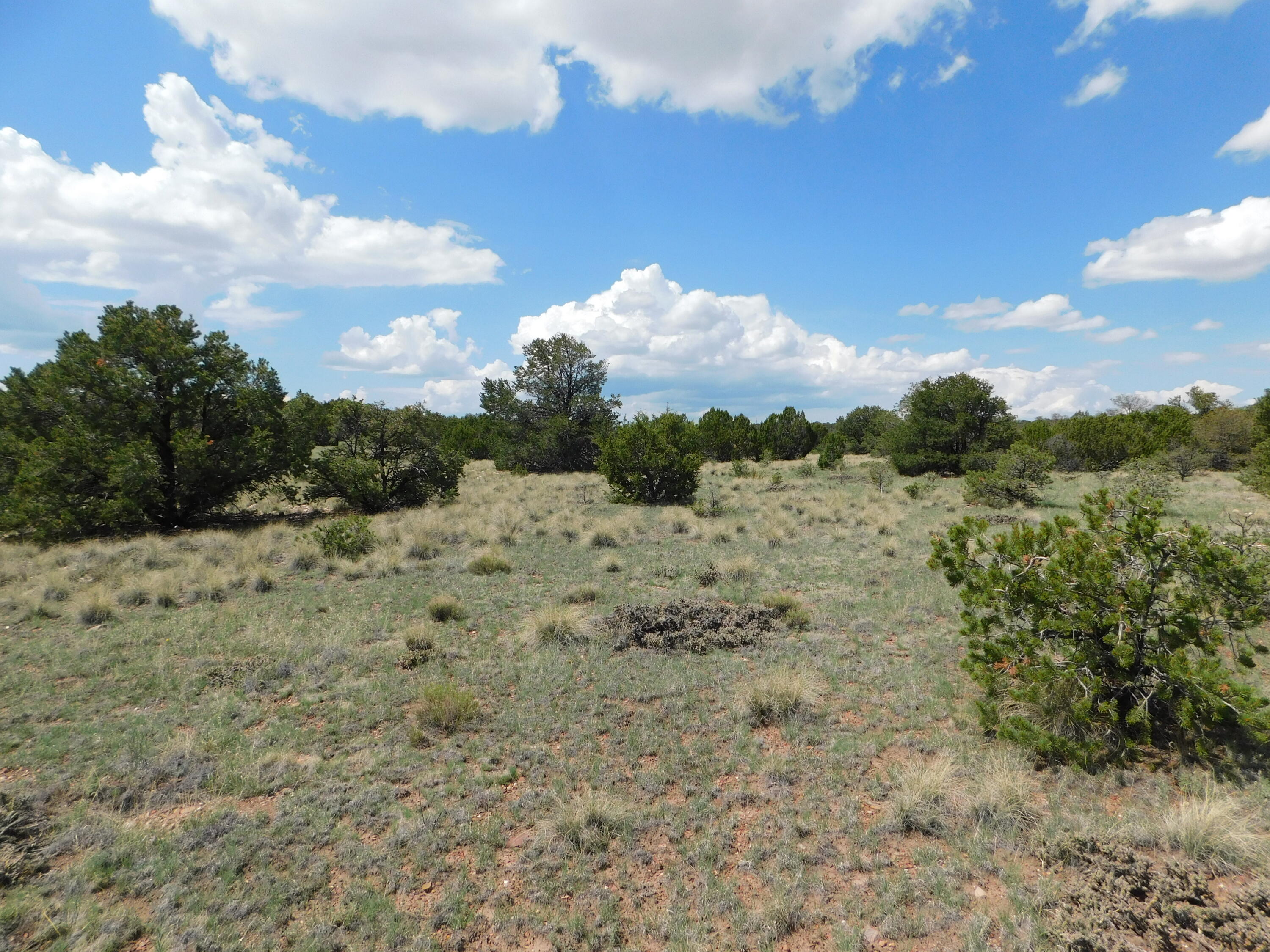 Lot 87 Dove Valley Road