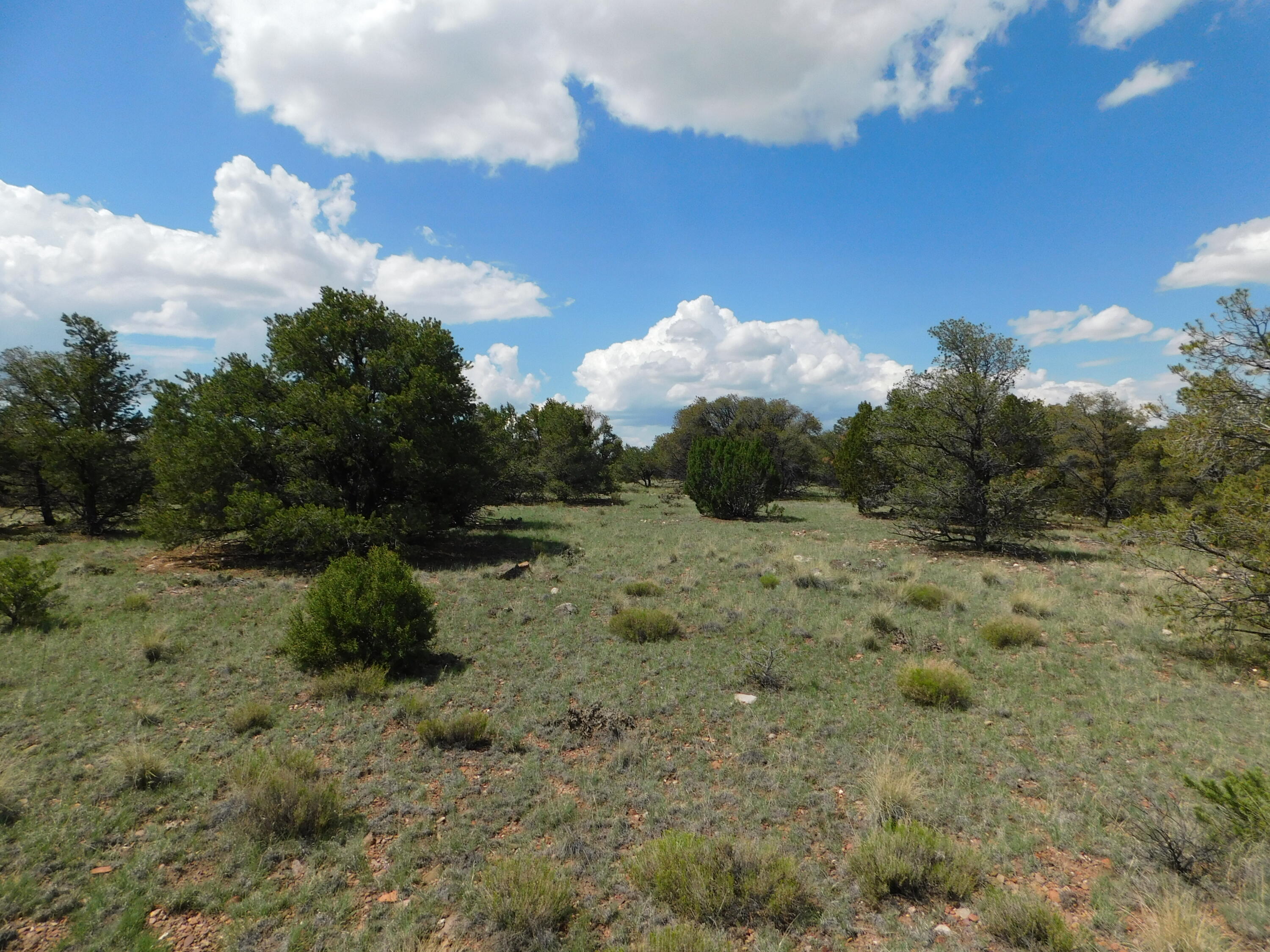 Lot 87 Dove Valley Road