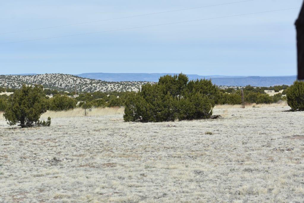 672 Pinon Spgs Road