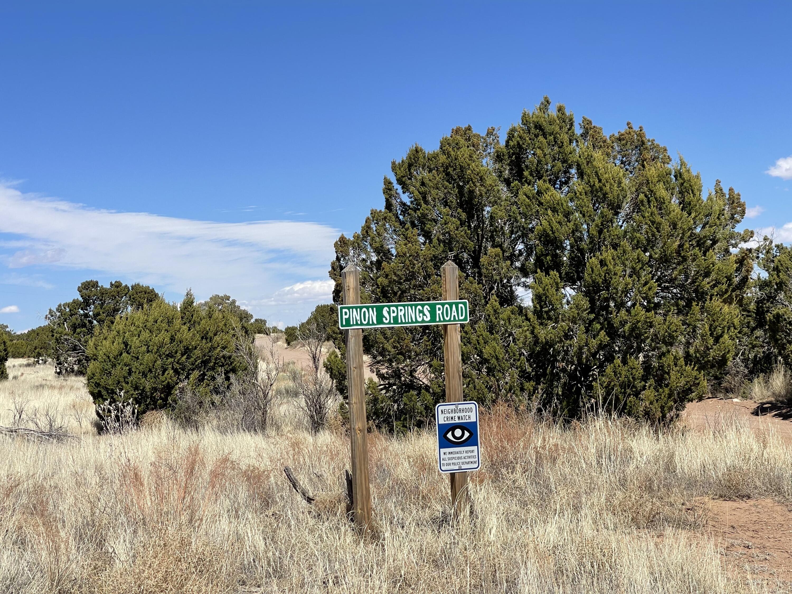 672 Pinon Spgs Road