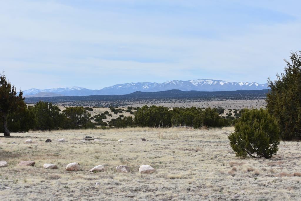 672 Pinon Spgs Road