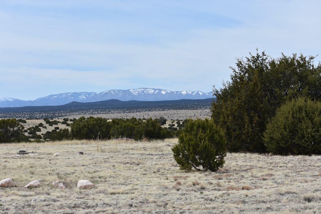 672 Pinon Spgs Road
