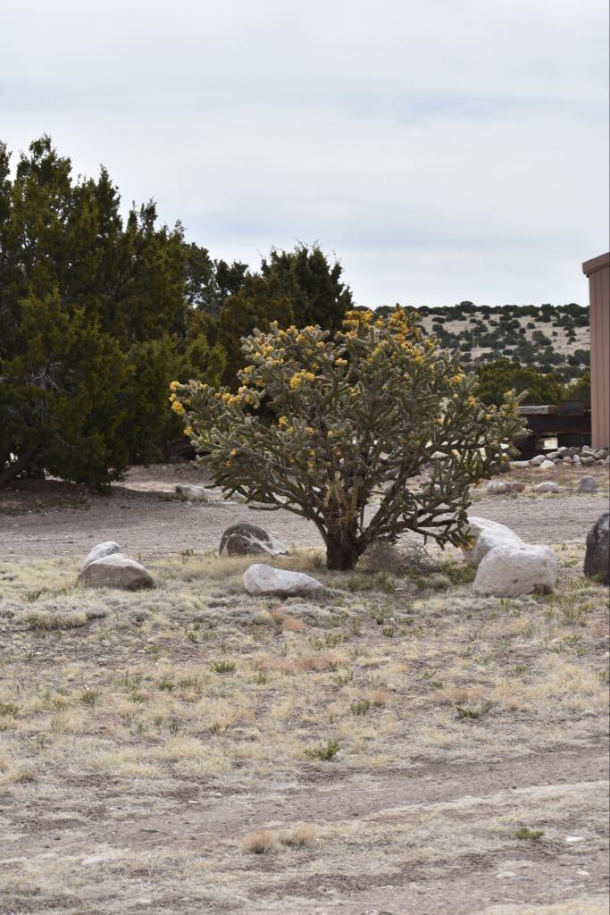 672 Pinon Spgs Road