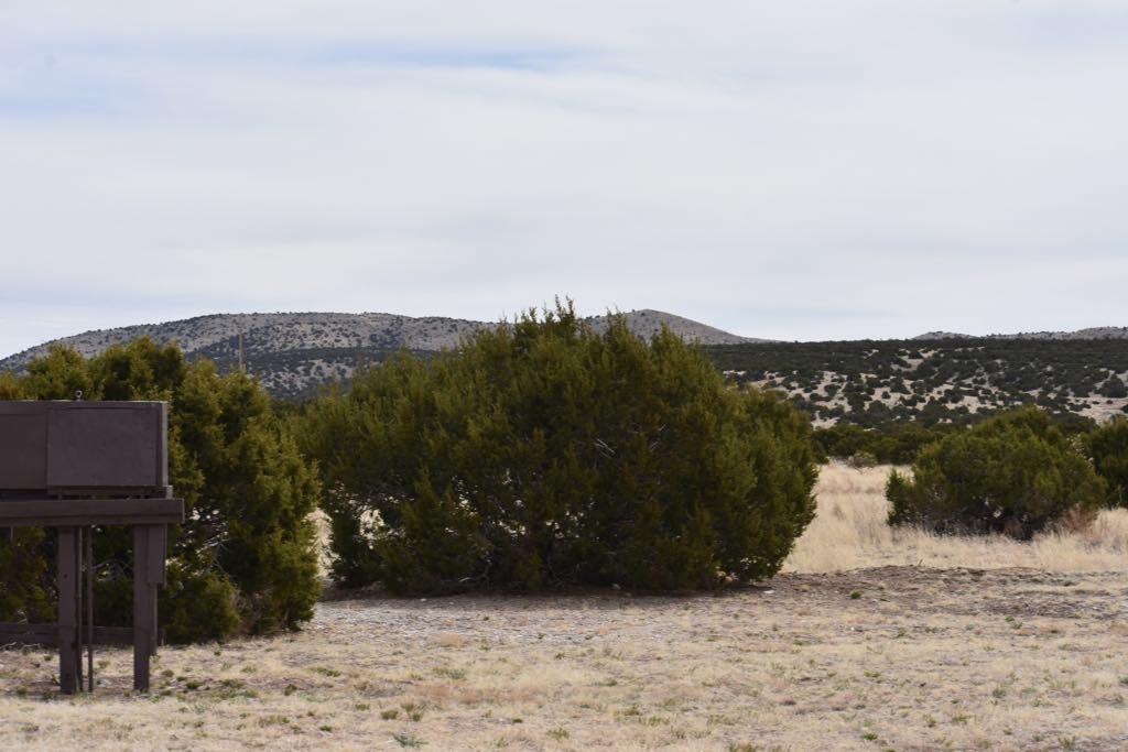 672 Pinon Spgs Road