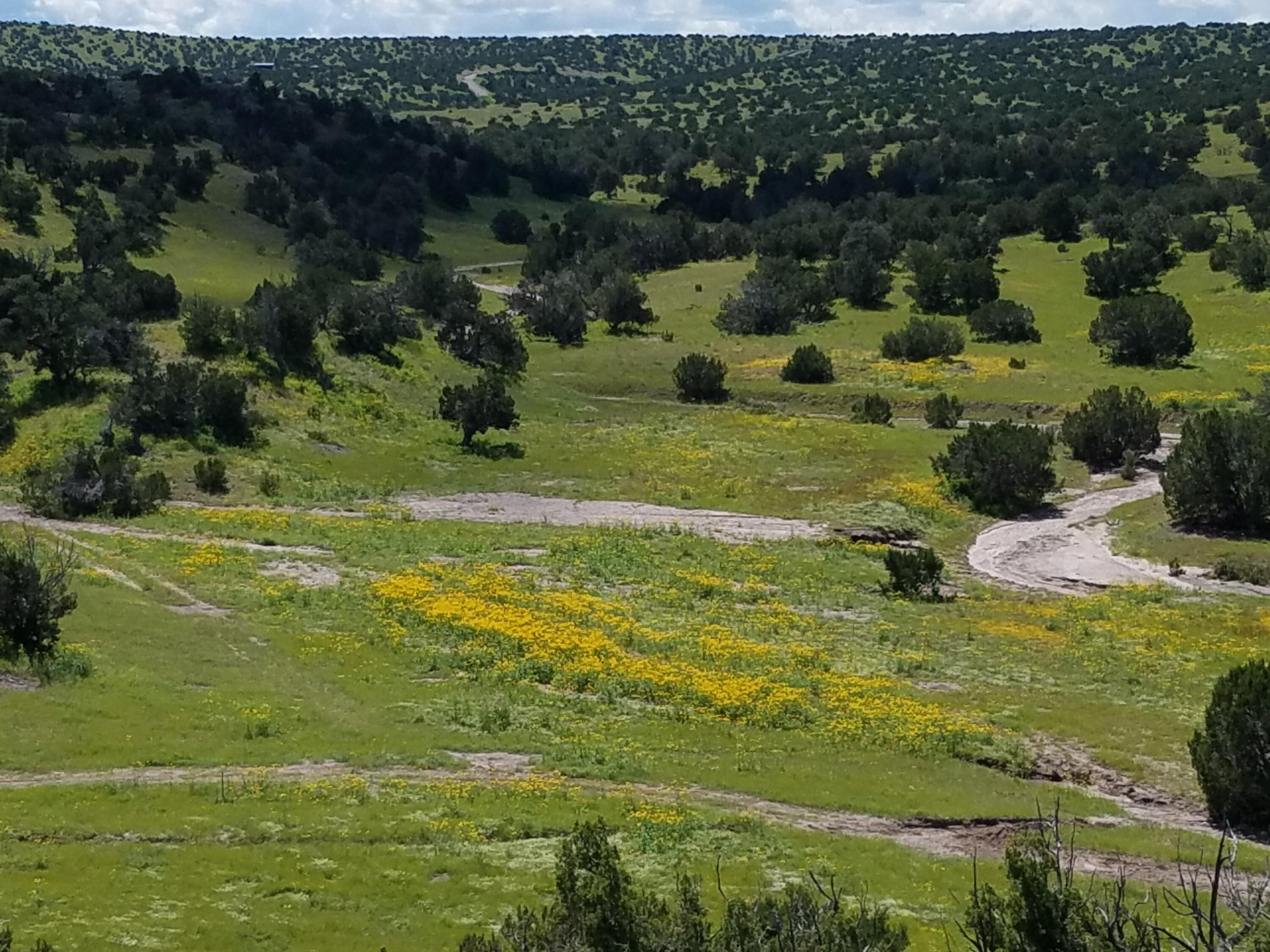 22 Abbe Springs