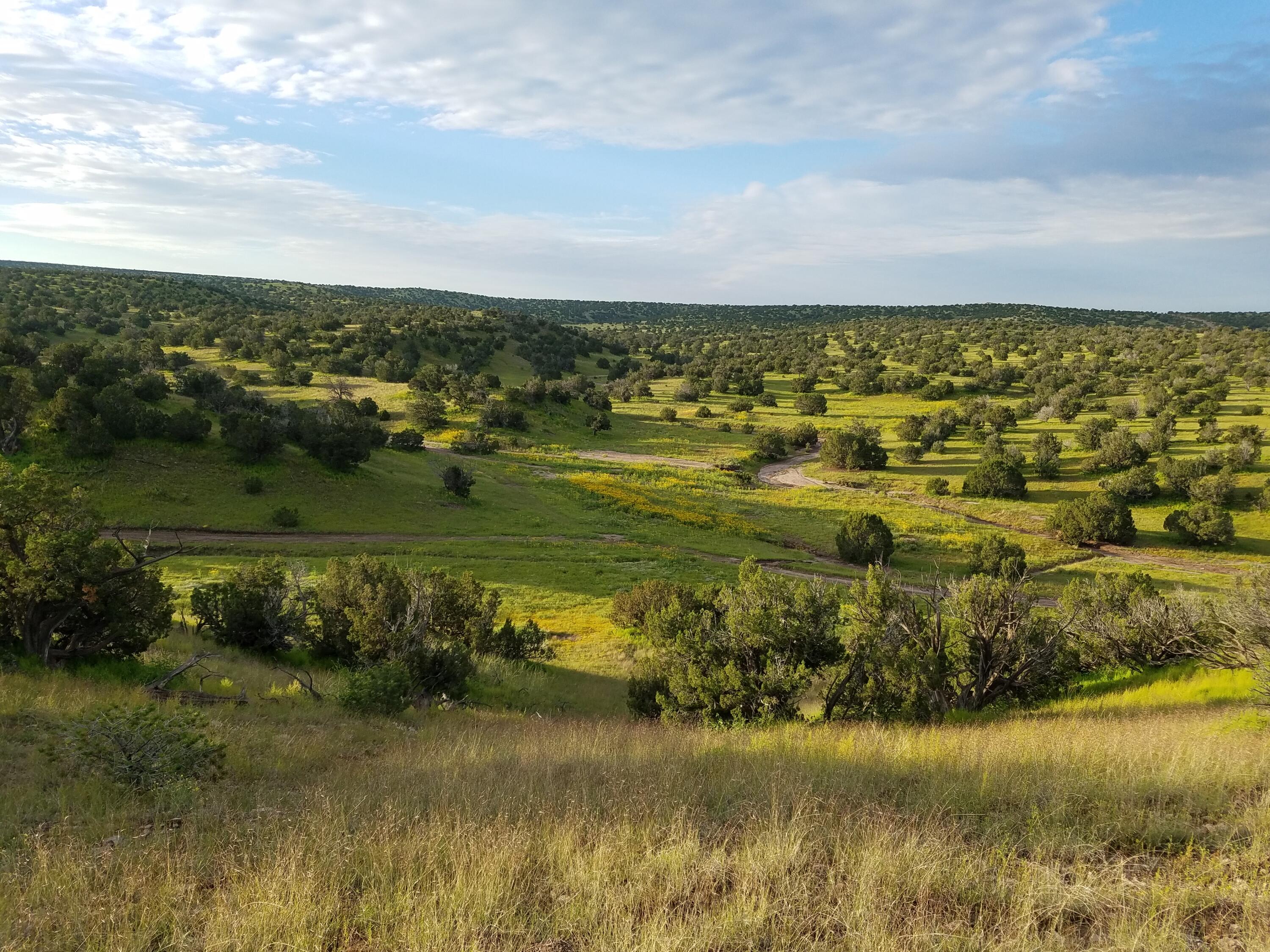 22 Abbe Springs