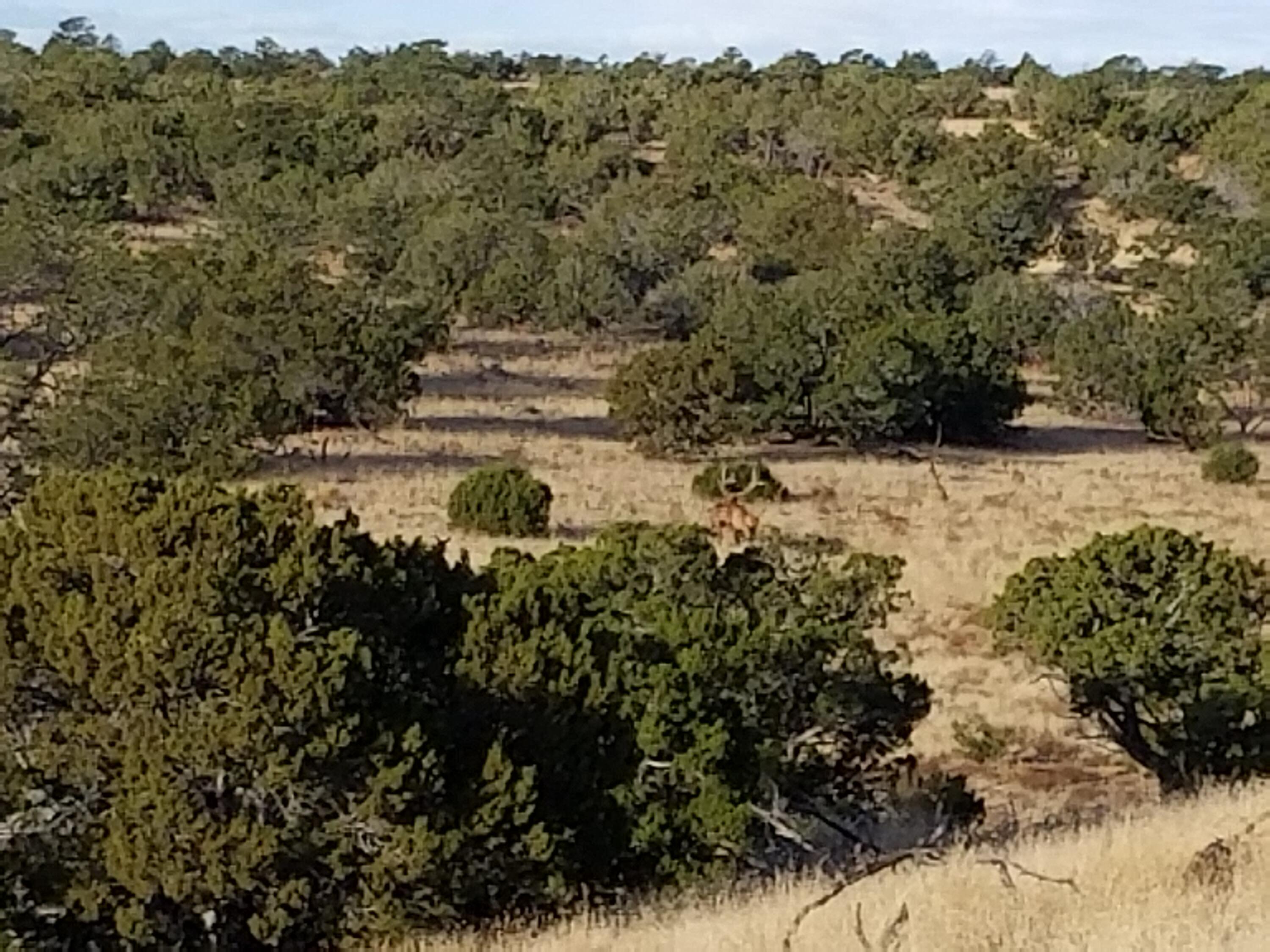 22 Abbe Springs