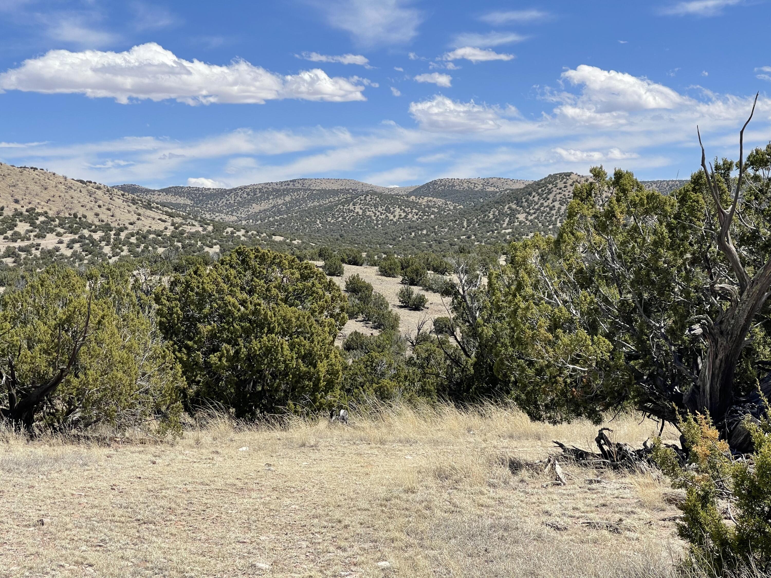 22 Abbe Springs