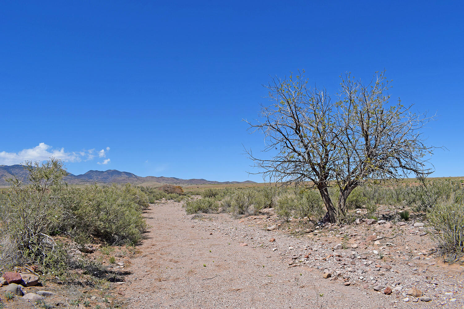 Lot 141 Desert Highlands Road