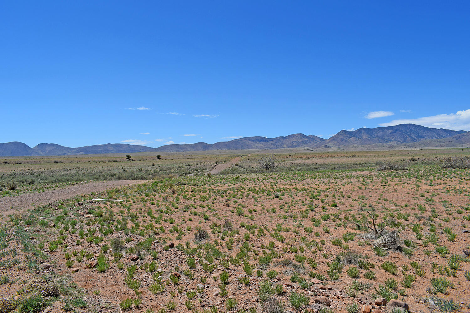 Lot 141 Desert Highlands Road