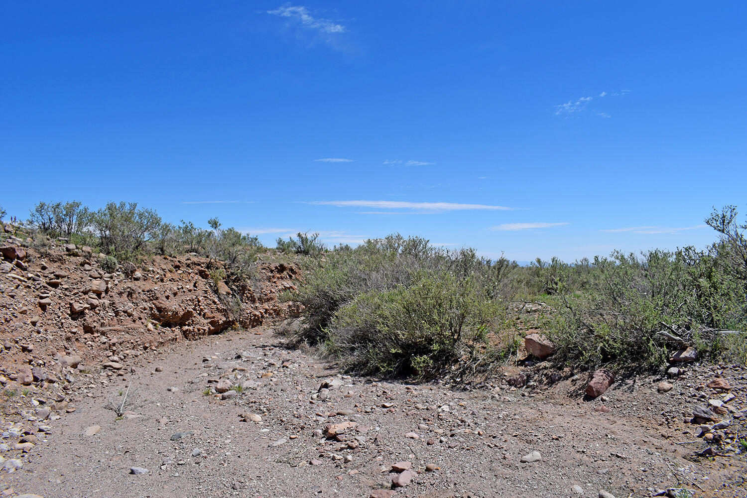 Lot 141 Desert Highlands Road